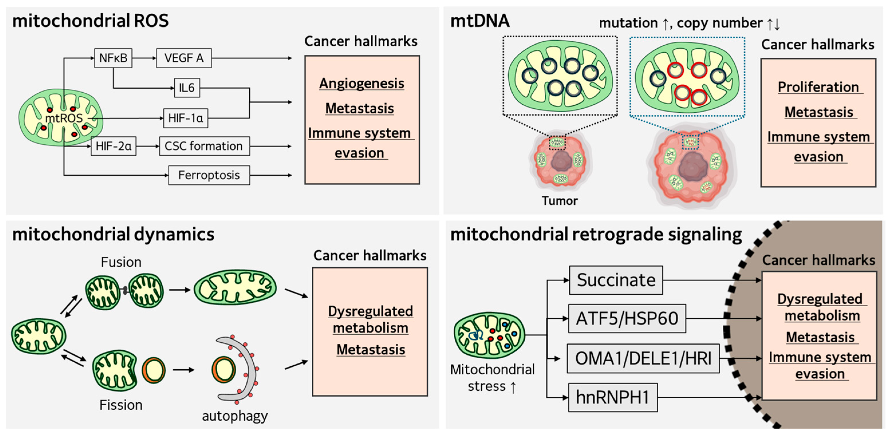 Antioxidants 14 01165 g001
