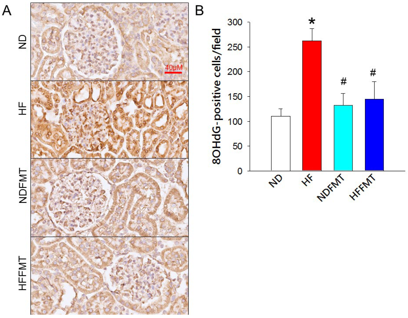Antioxidants 14 01168 g007