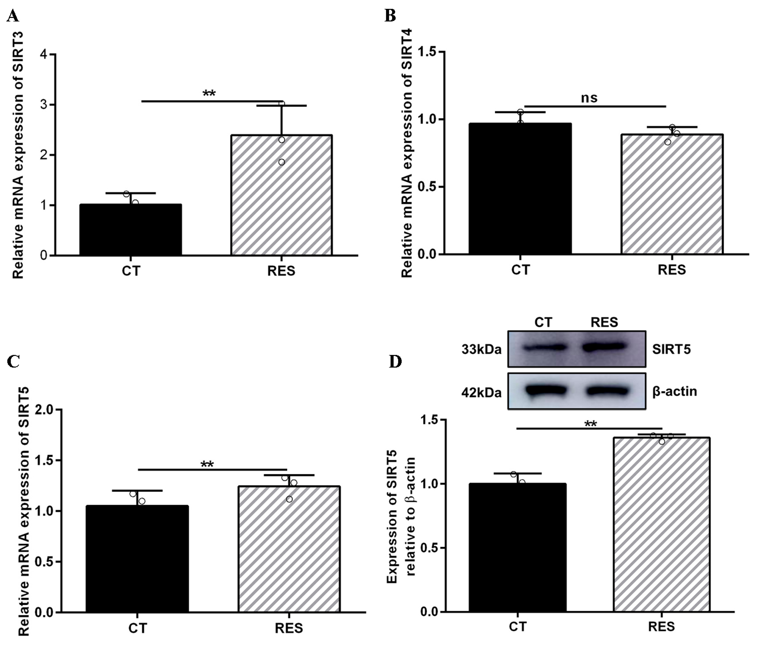 Antioxidants 14 01171 g005