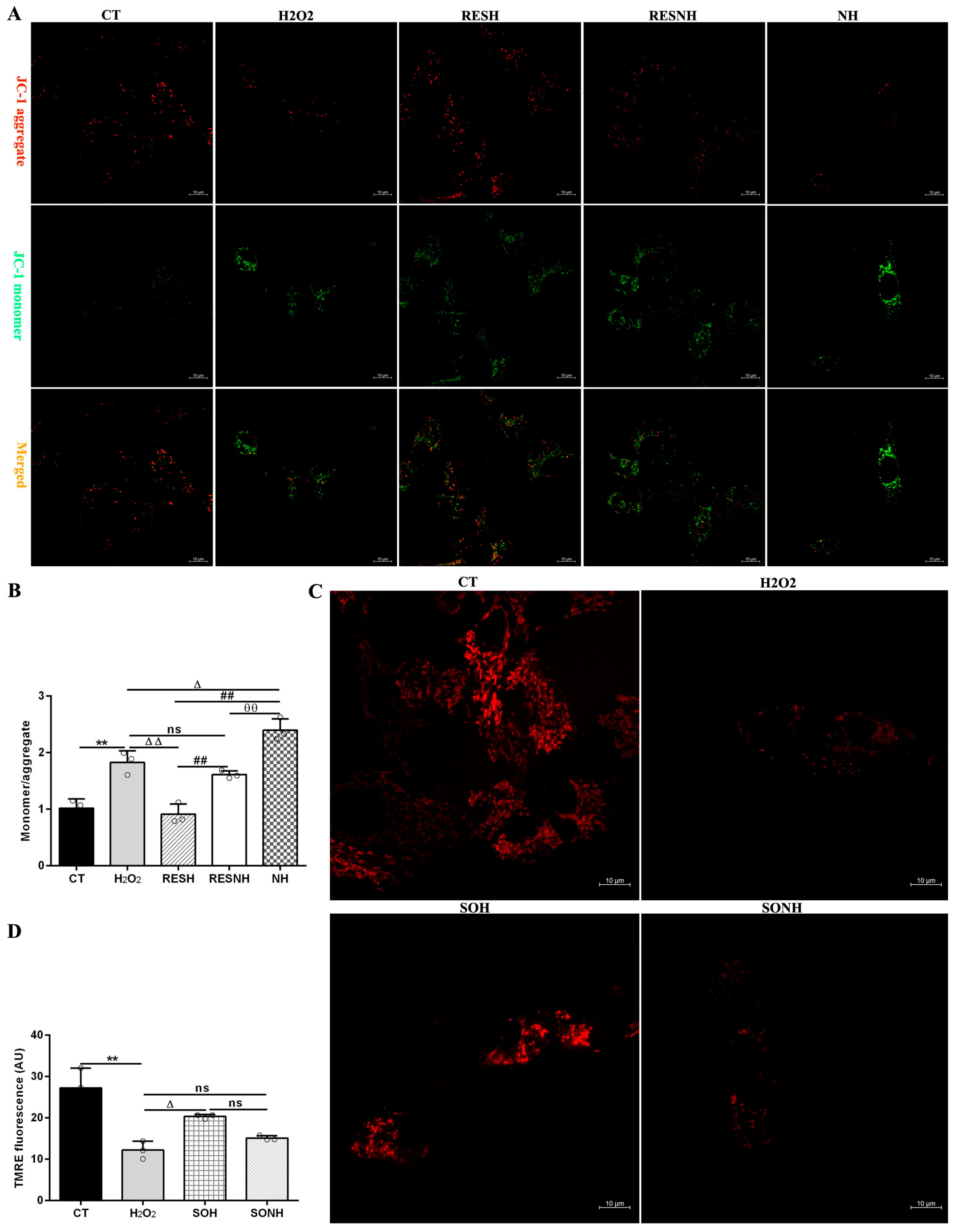 Antioxidants 14 01171 g009