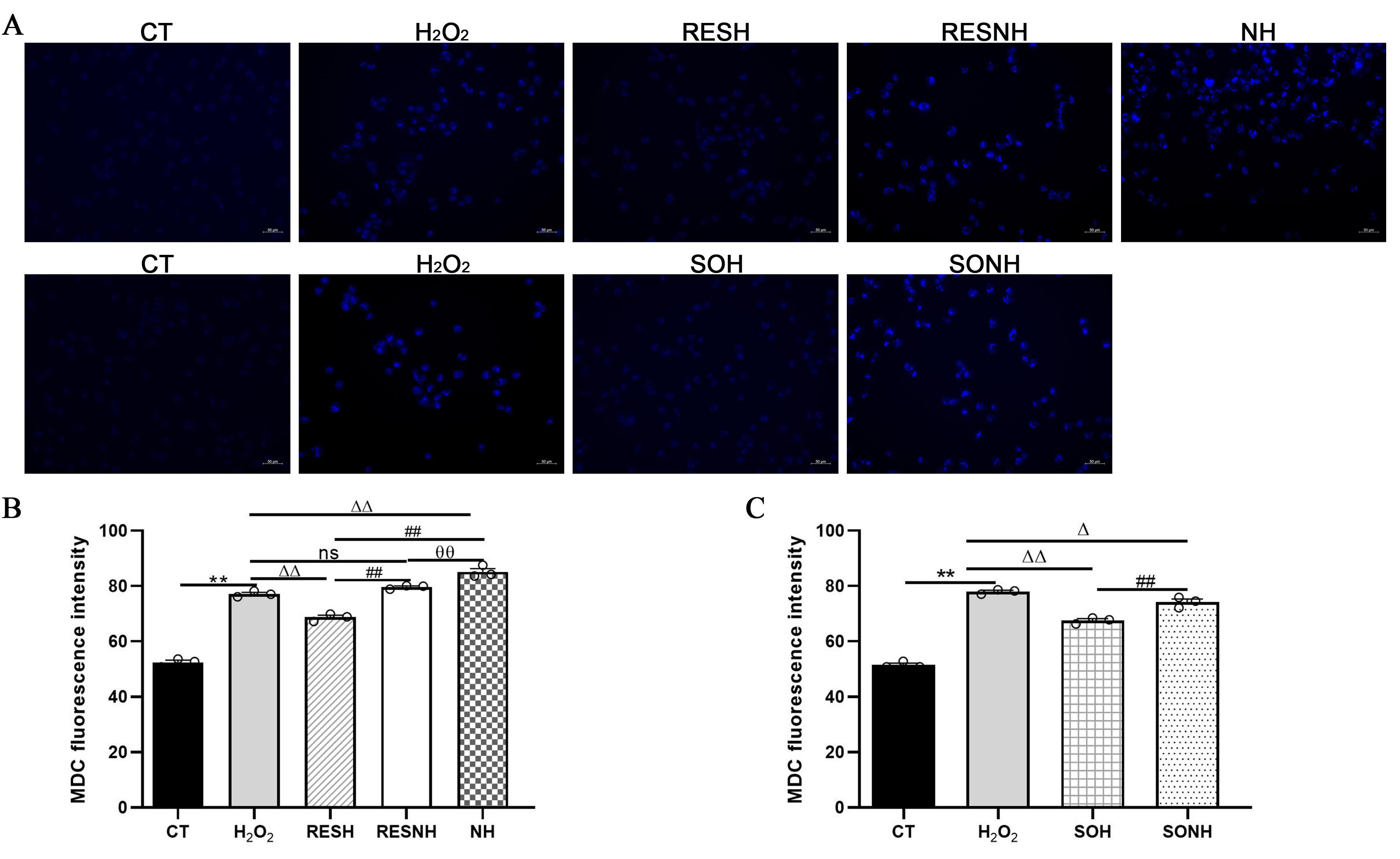 Antioxidants 14 01171 g011