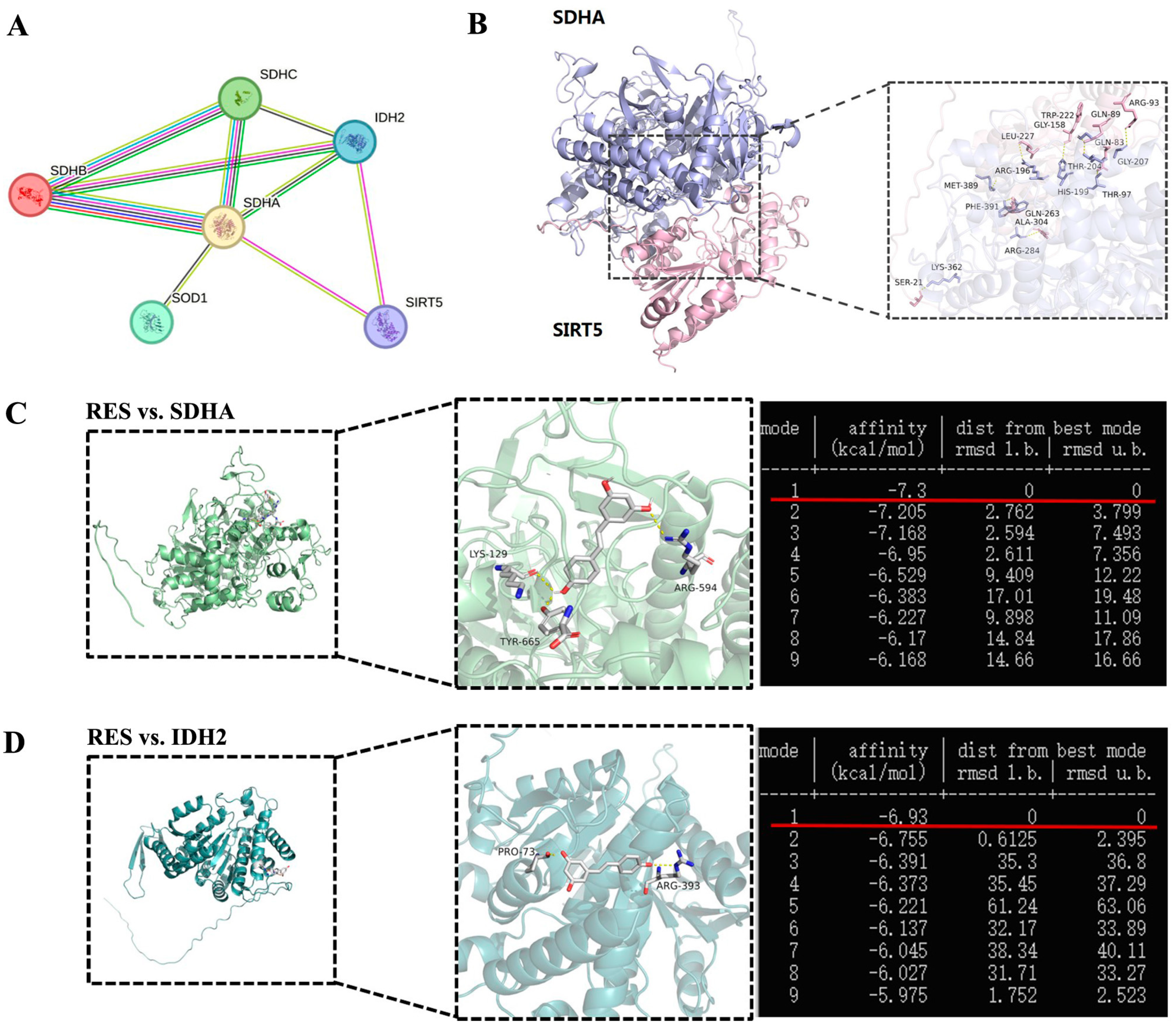 Antioxidants 14 01171 g014