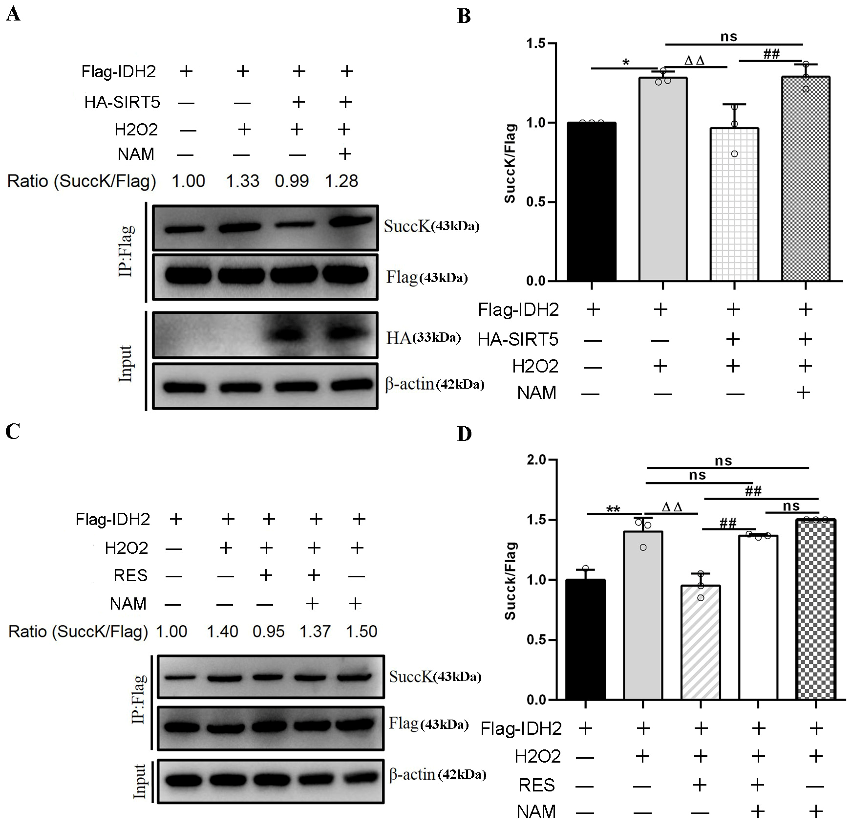 Antioxidants 14 01171 g015