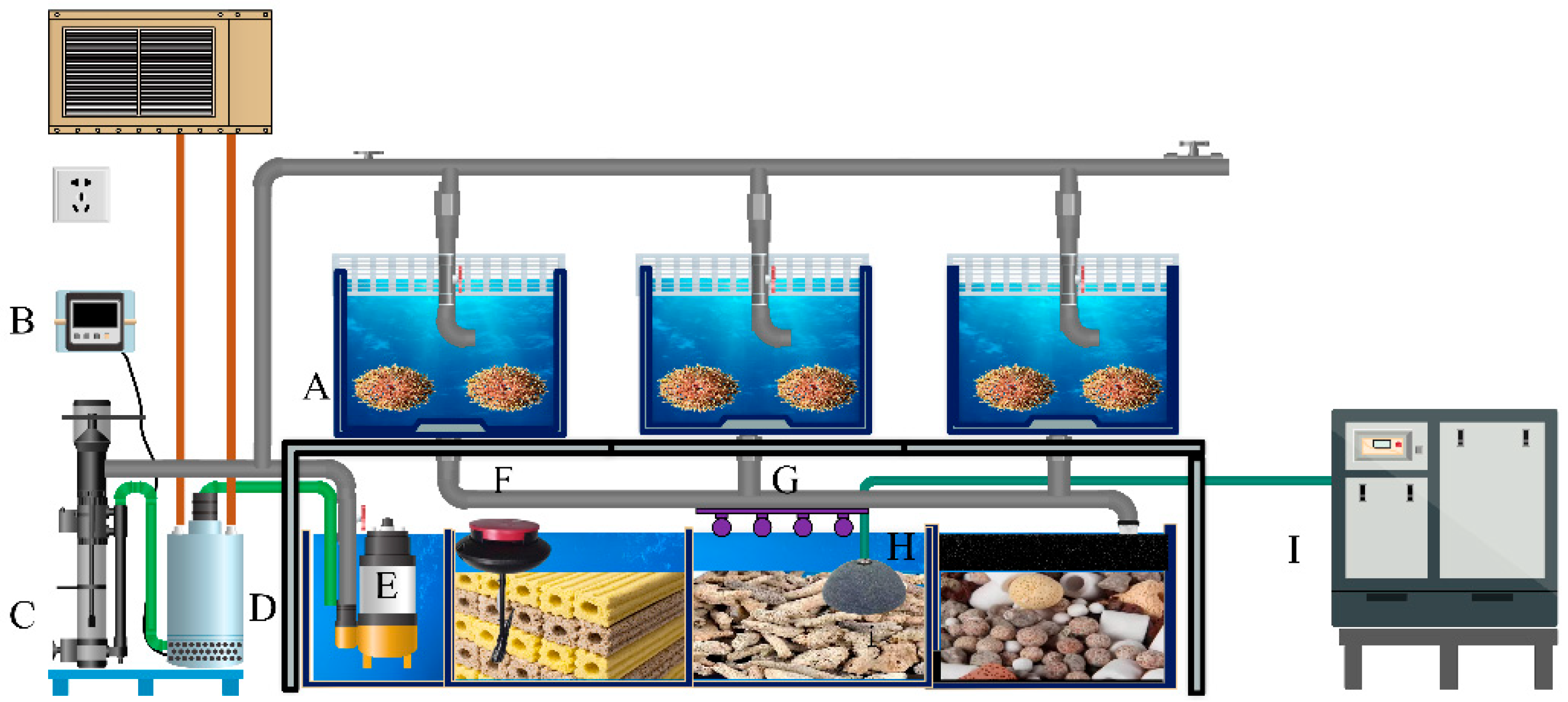 Antioxidants 14 01173 g001 Antioxidants 14 01173 g001