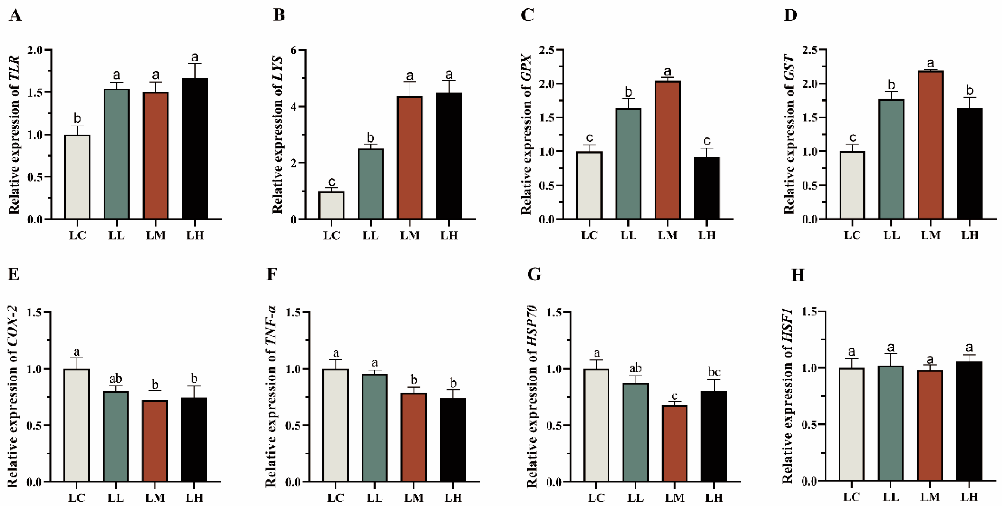 Antioxidants 14 01173 g006 Antioxidants 14 01173 g006