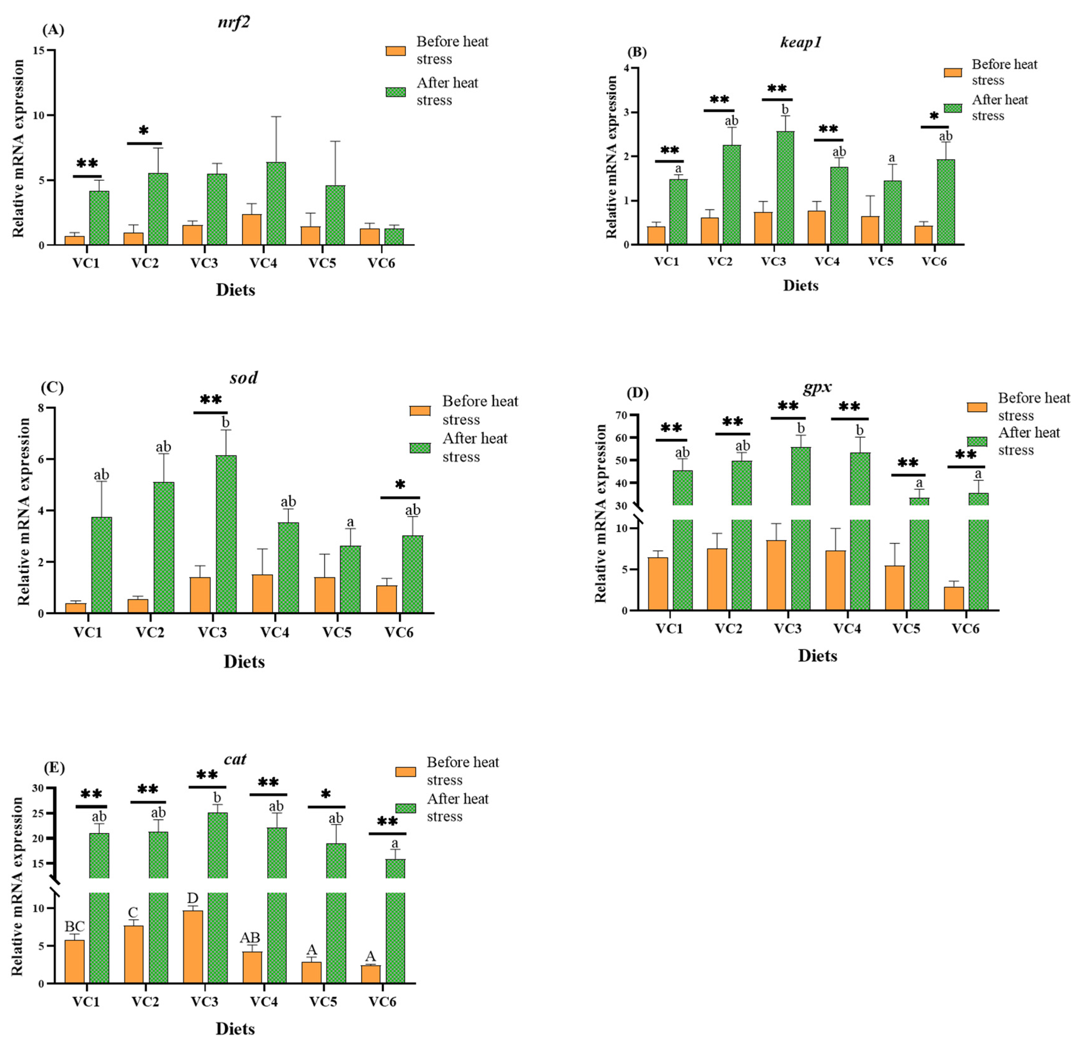Antioxidants 14 01175 g005