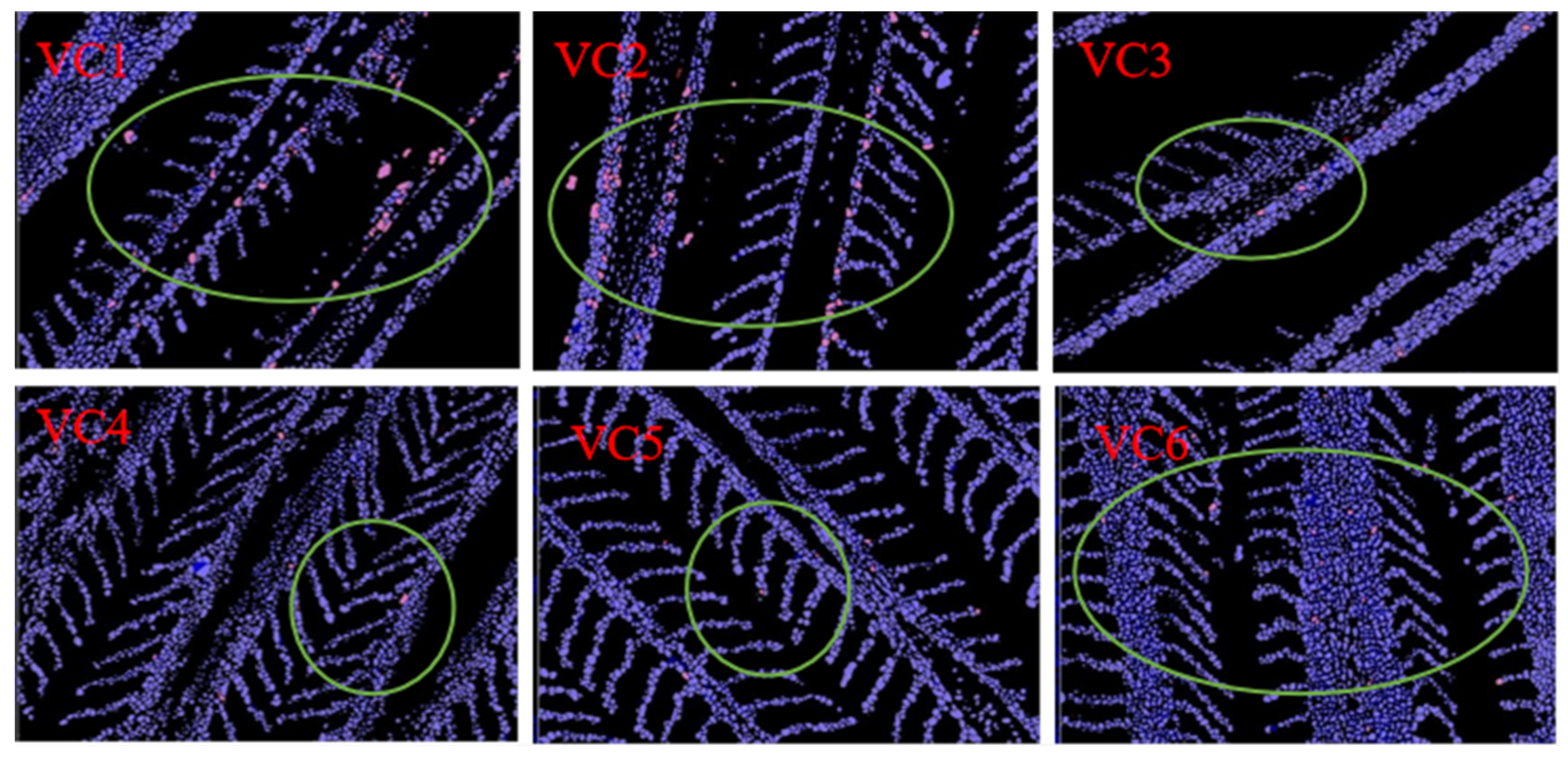 Antioxidants 14 01175 g008