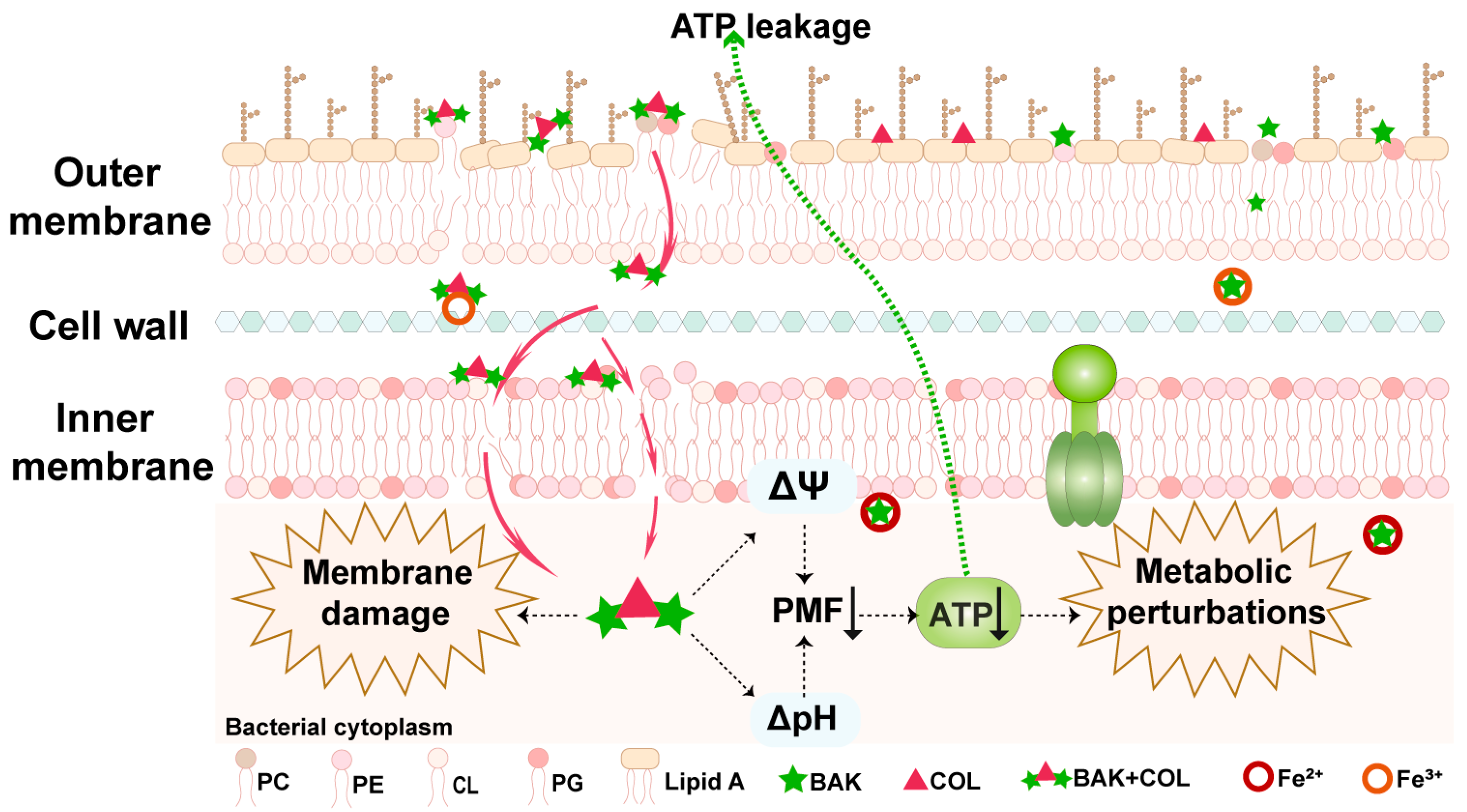 Antioxidants 14 01178 g006