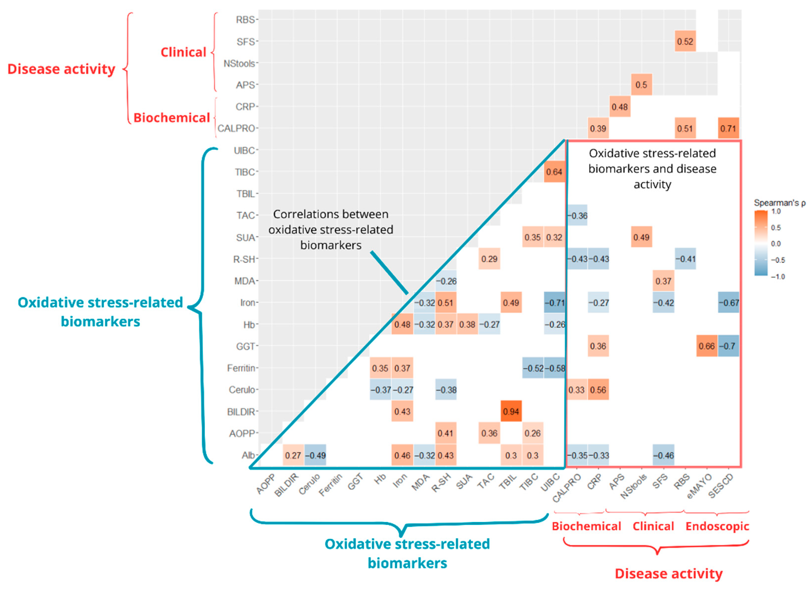 Antioxidants 14 01183 g003