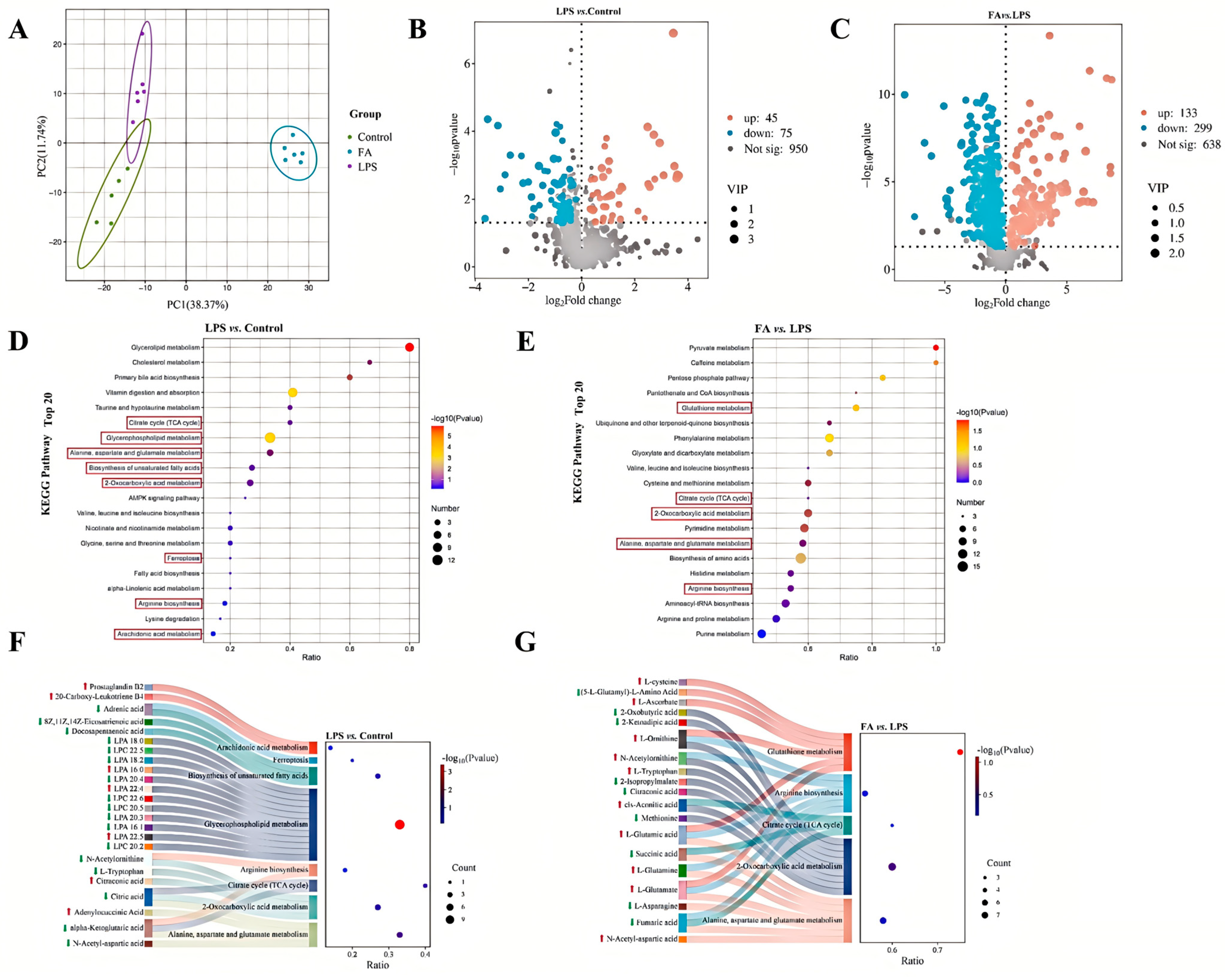 Antioxidants 14 01185 g003 Antioxidants 14 01185 g003