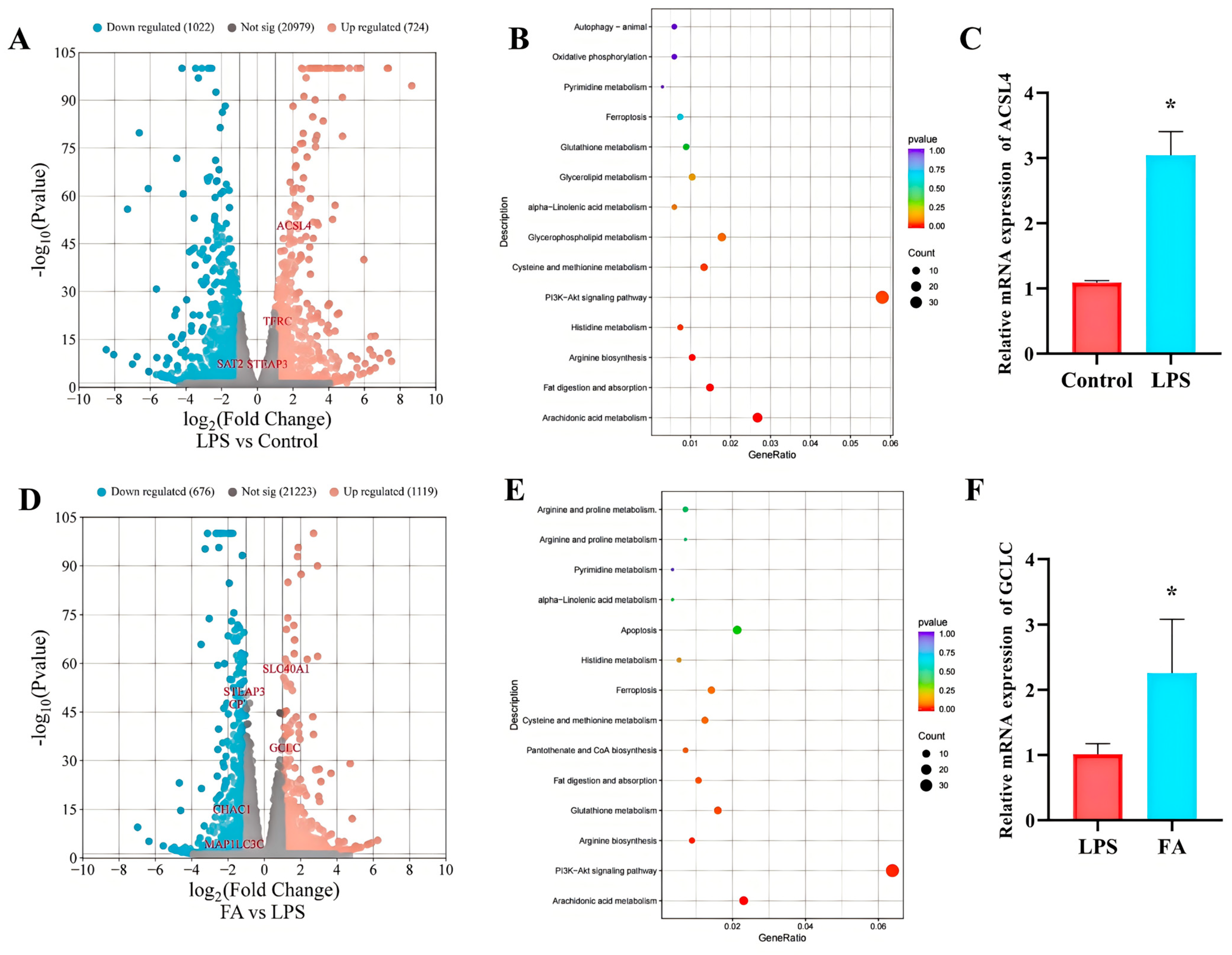 Antioxidants 14 01185 g004 Antioxidants 14 01185 g004