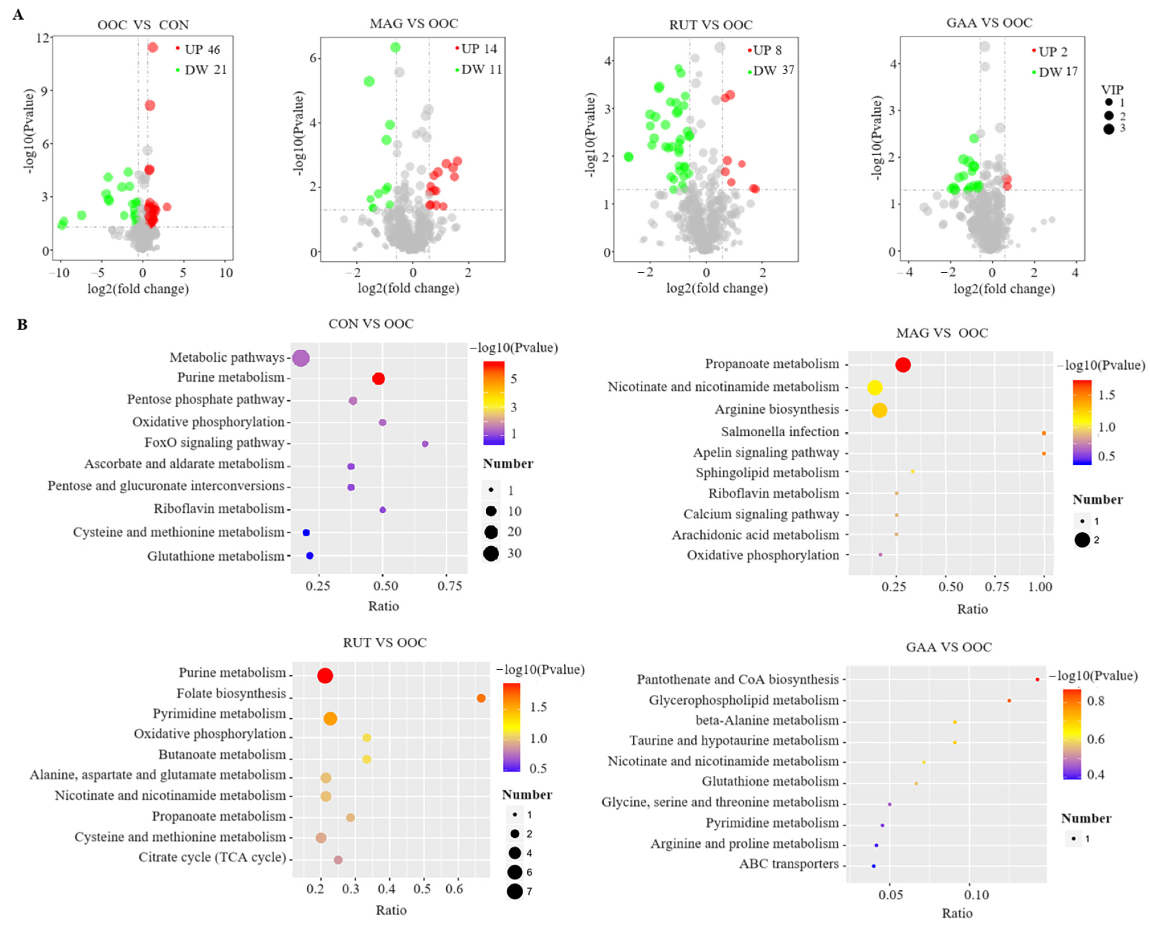 Antioxidants 14 01186 g001