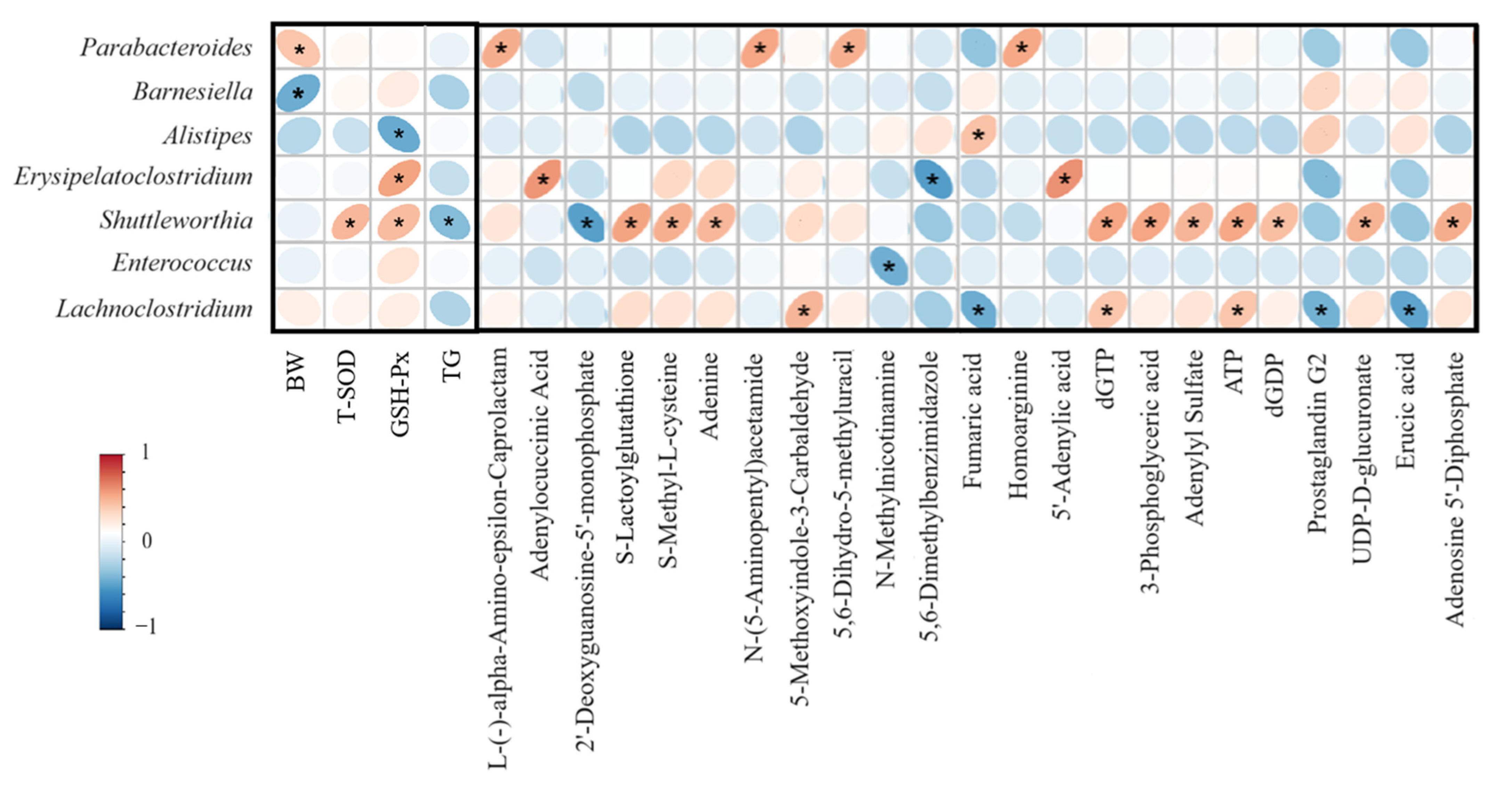 Antioxidants 14 01186 g004