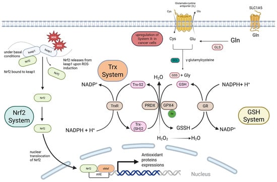 Antioxidants 14 01187 g001