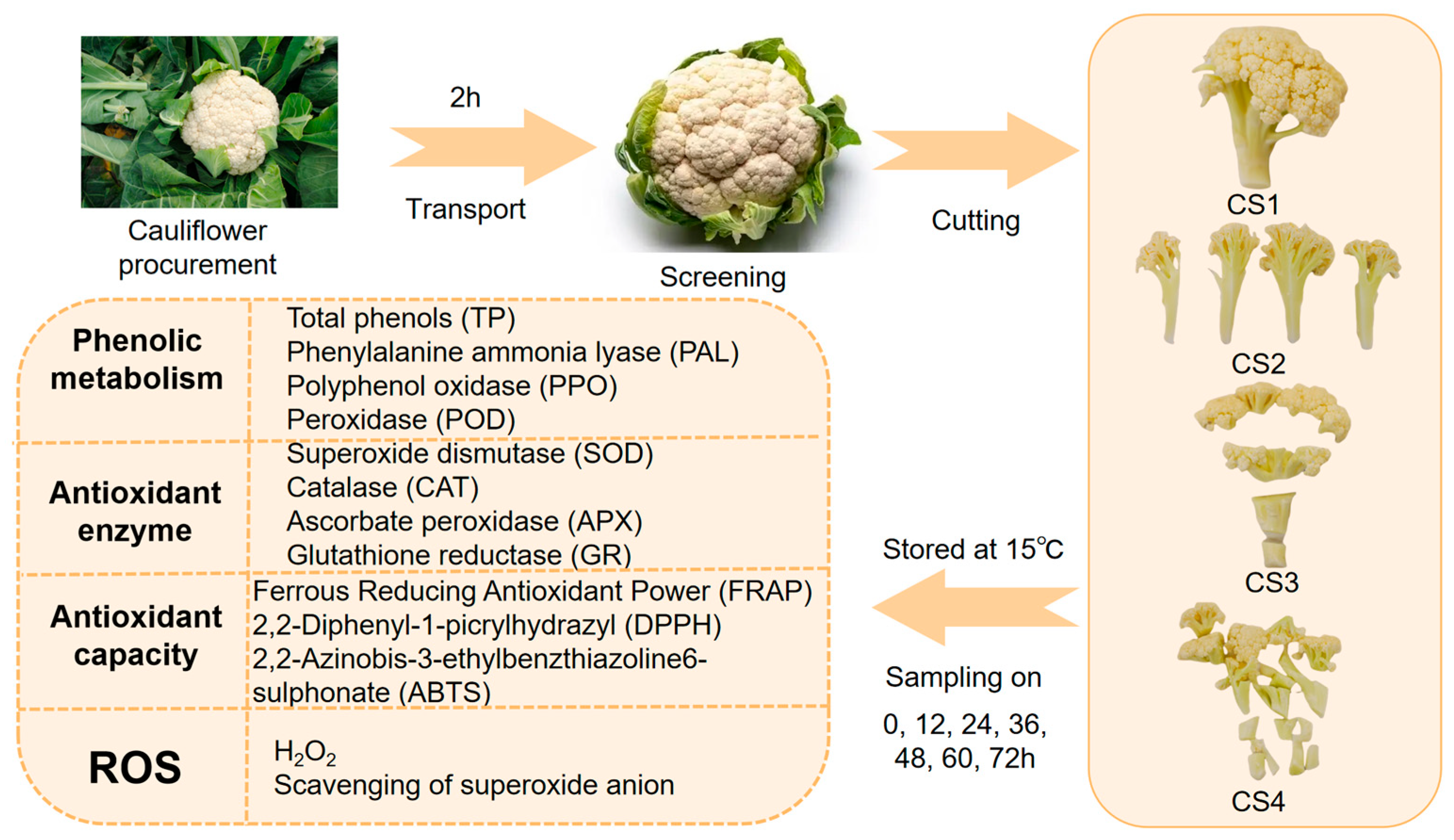 Antioxidants 14 01188 g002