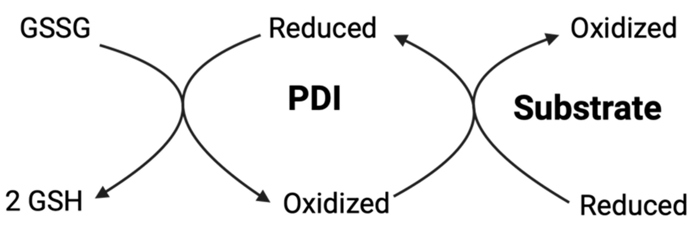 Antioxidants 14 01193 g008 Antioxidants 14 01193 g008
