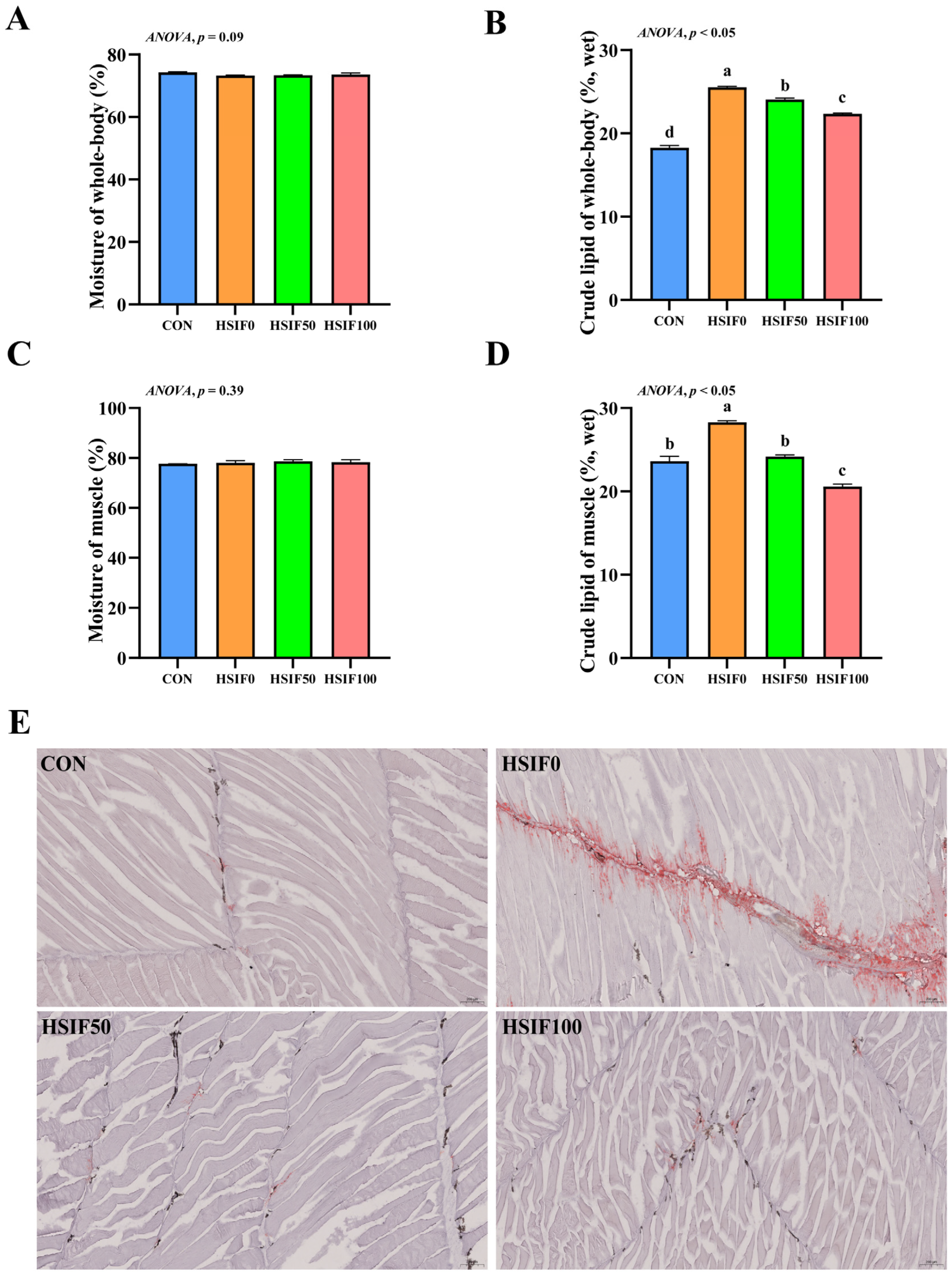 Antioxidants 14 01195 g001 Antioxidants 14 01195 g001