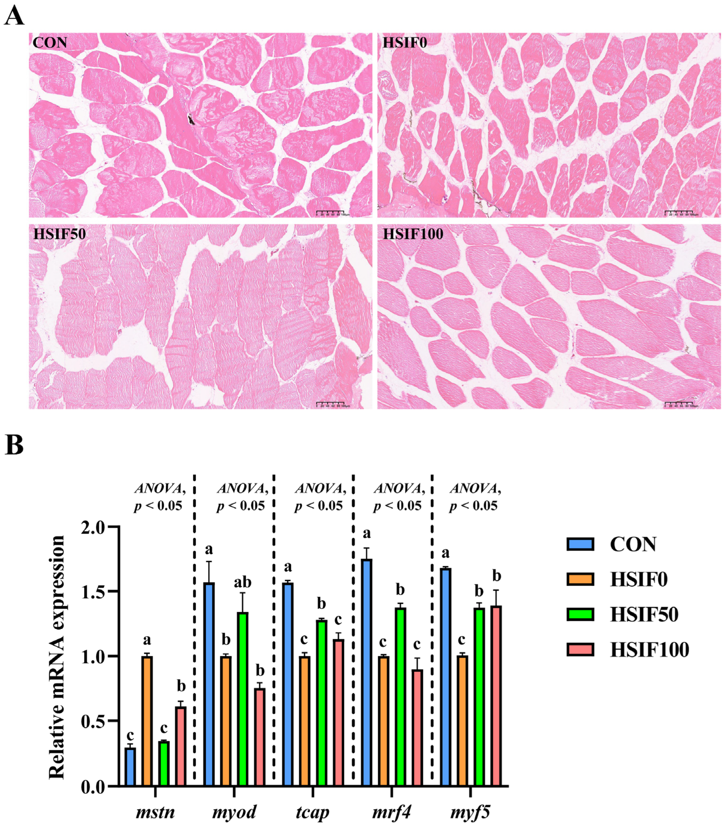 Antioxidants 14 01195 g004 Antioxidants 14 01195 g004
