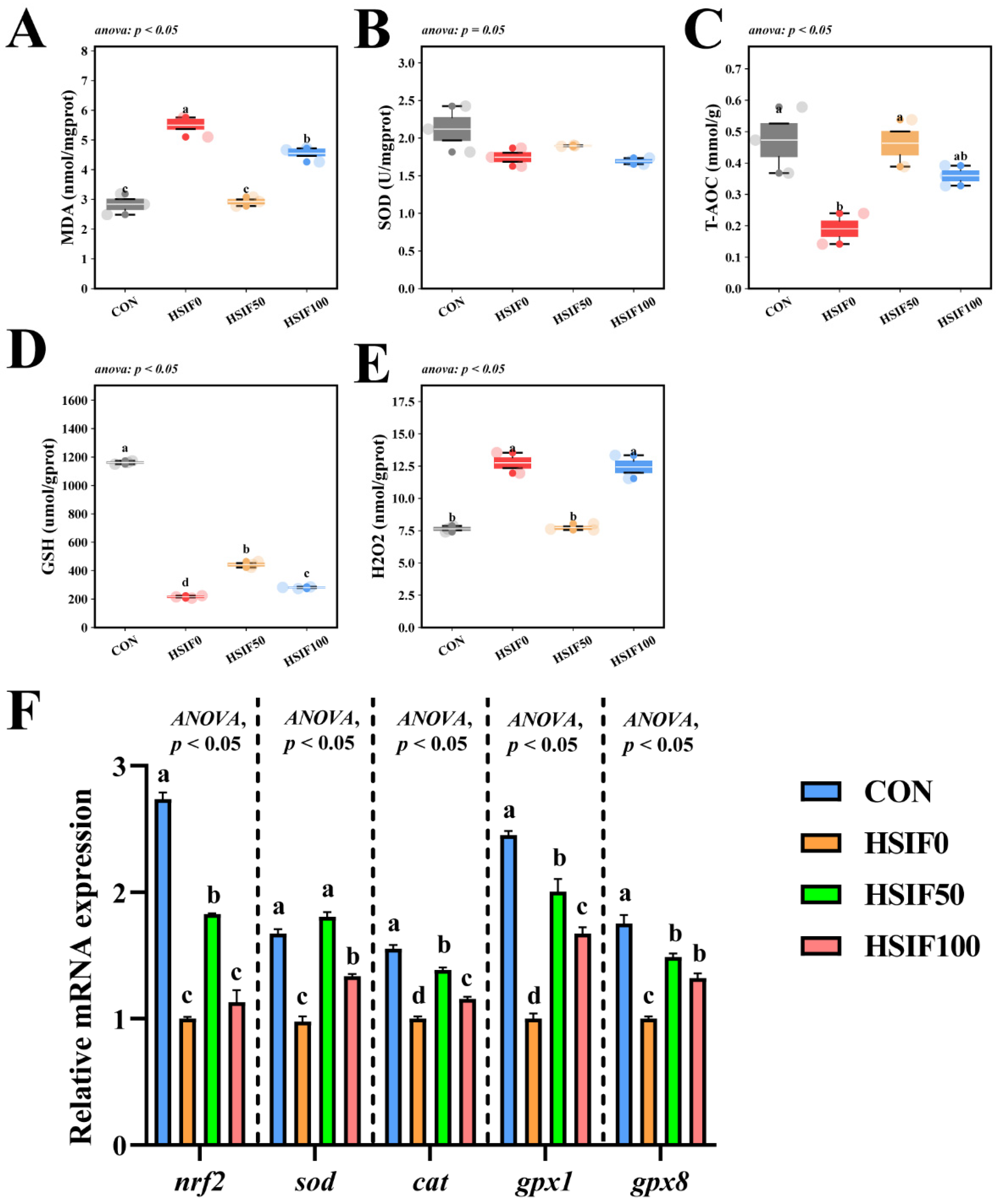 Antioxidants 14 01195 g006 Antioxidants 14 01195 g006