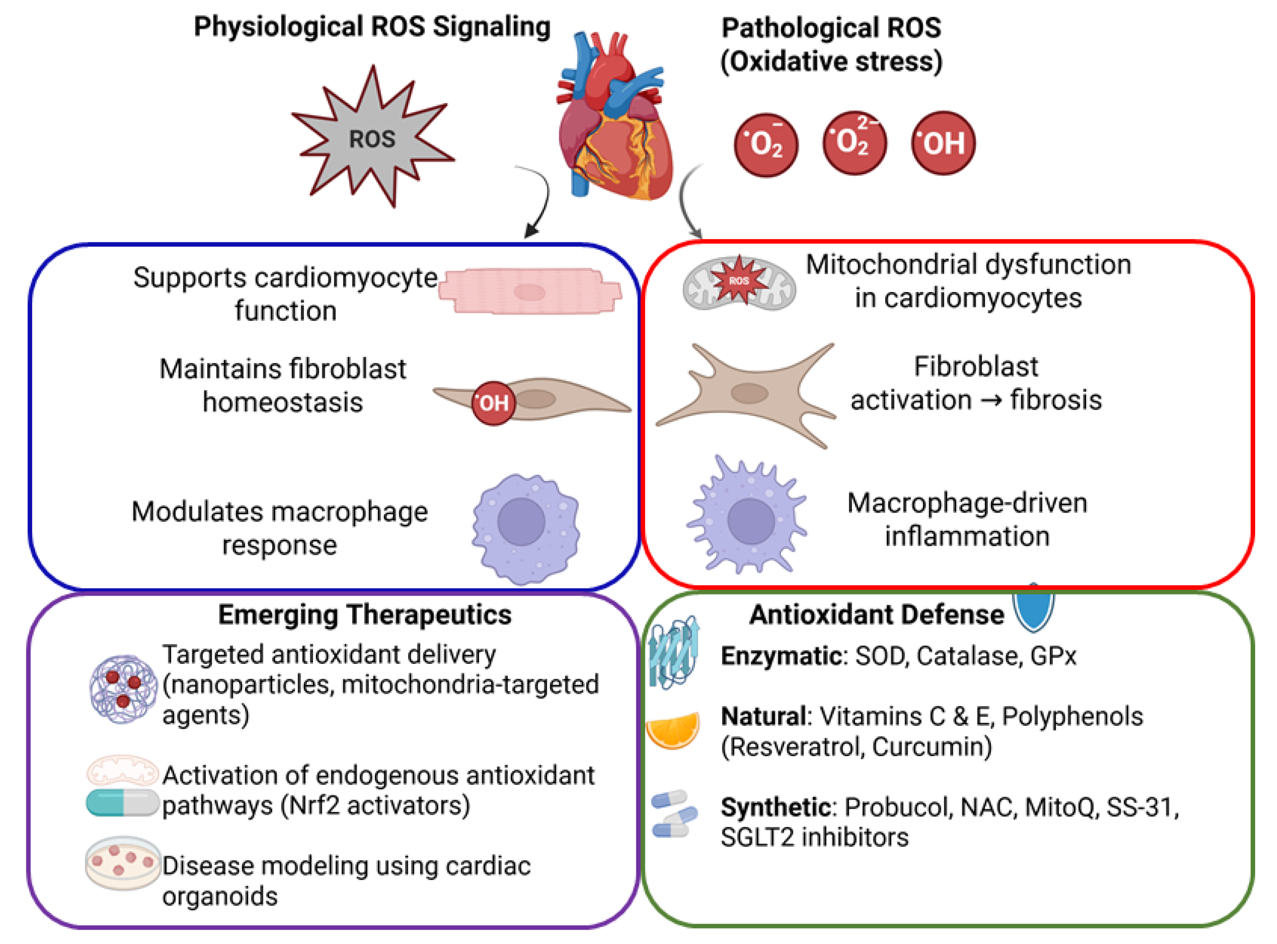 Antioxidants 14 01202 g001