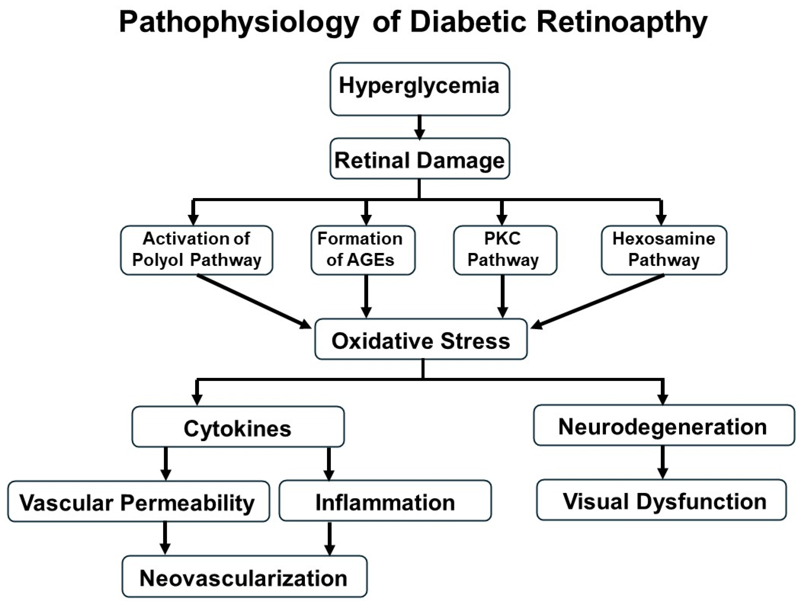 Antioxidants 14 01204 g001 Antioxidants 14 01204 g001
