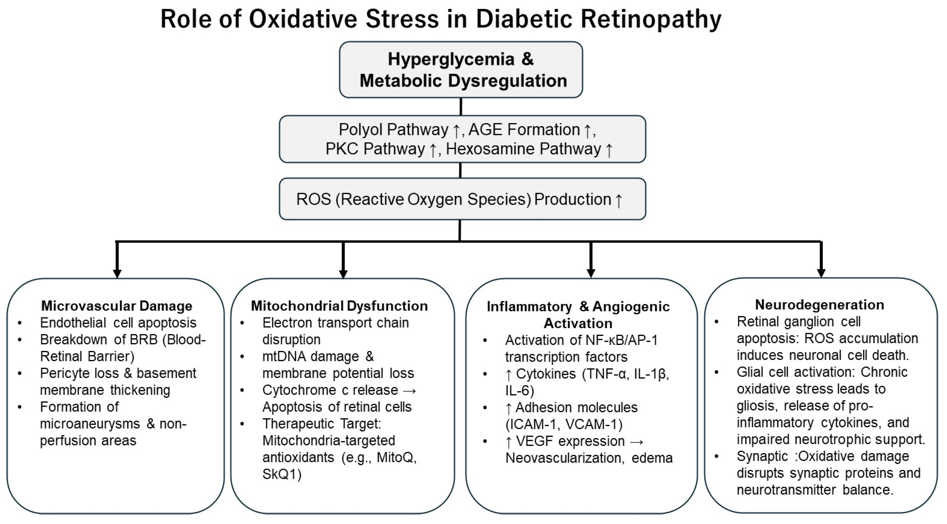 Antioxidants 14 01204 g002 Antioxidants 14 01204 g002
