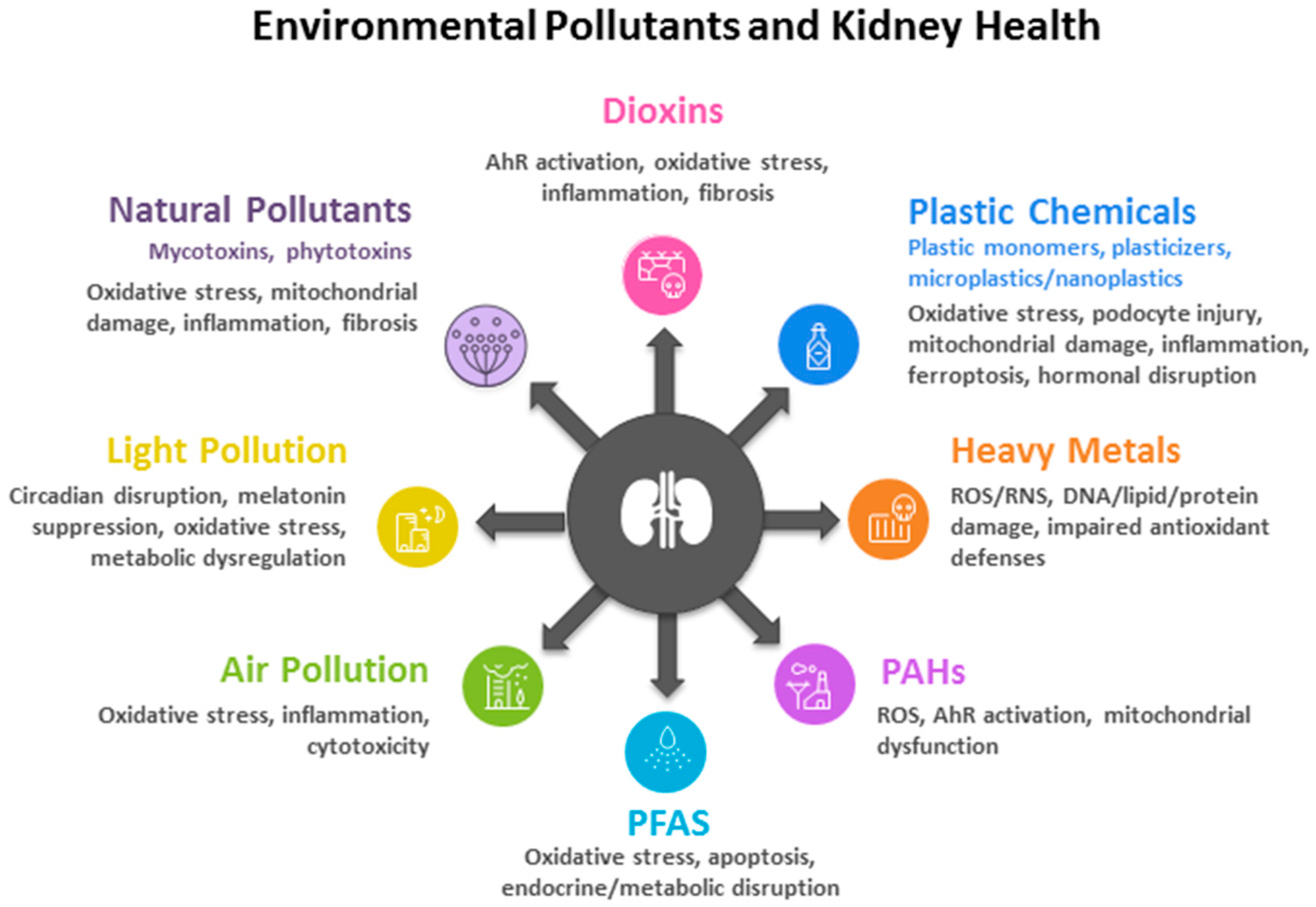 Antioxidants 14 01205 g001