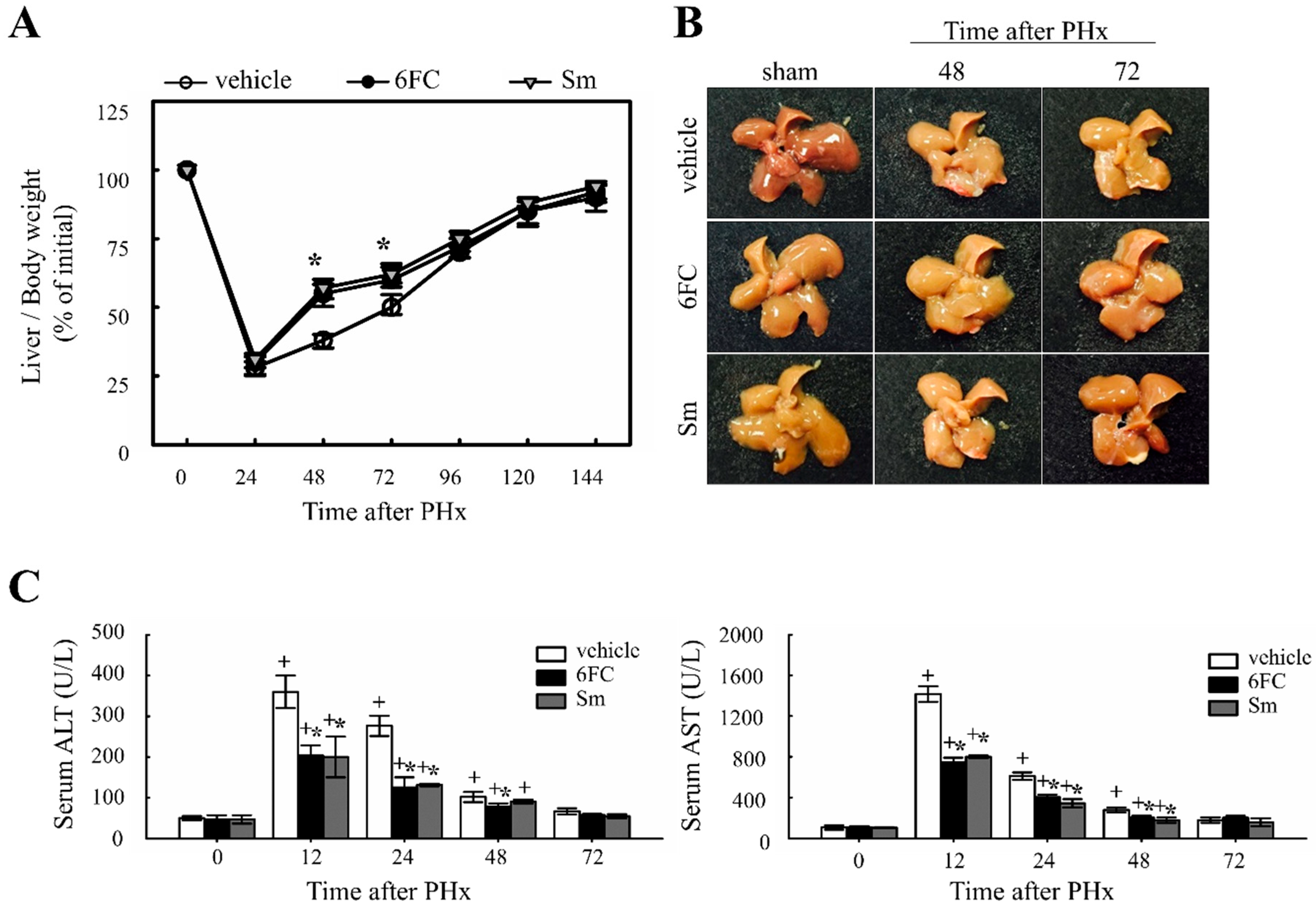 Antioxidants 14 01210 g001