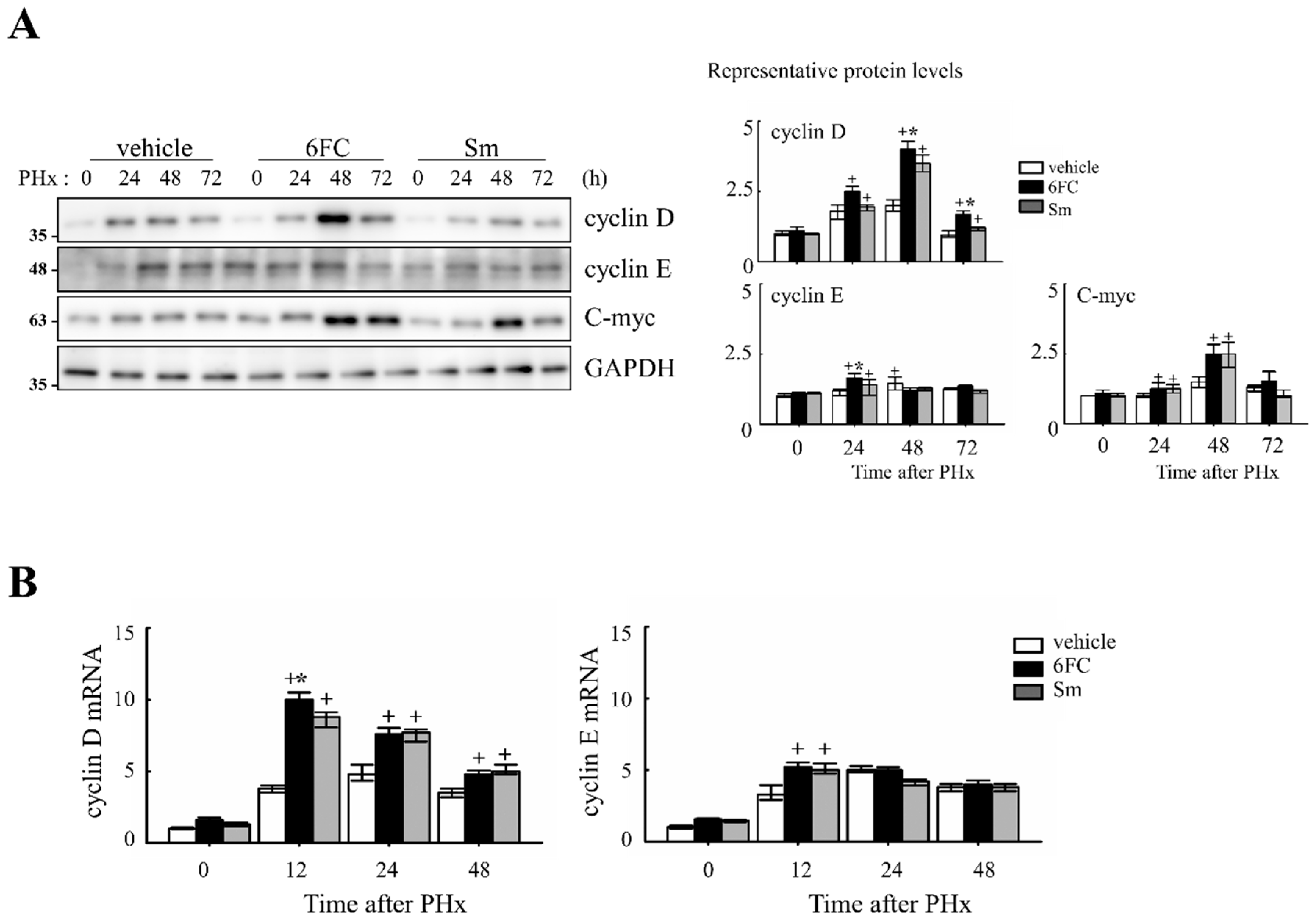 Antioxidants 14 01210 g002