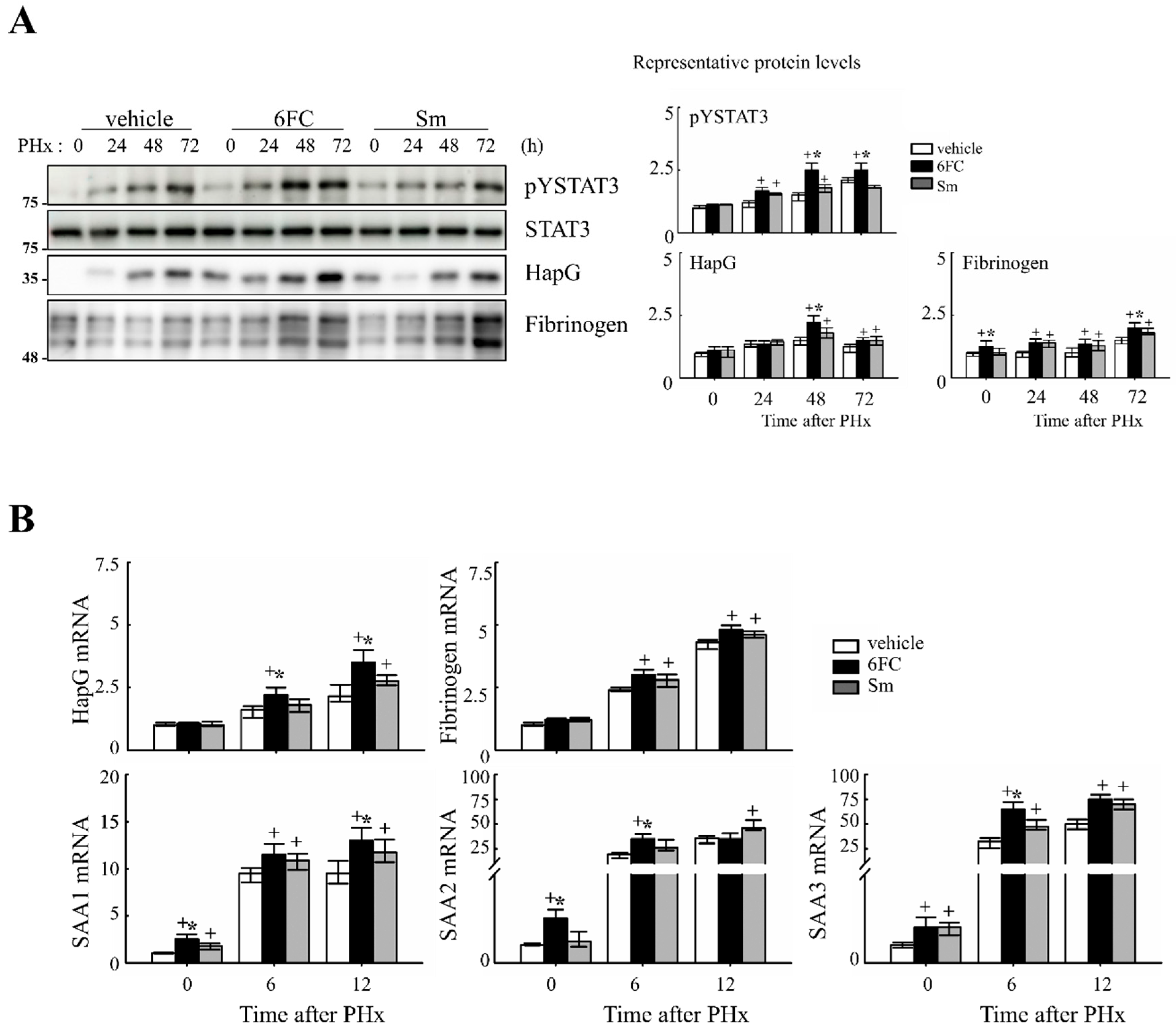 Antioxidants 14 01210 g004