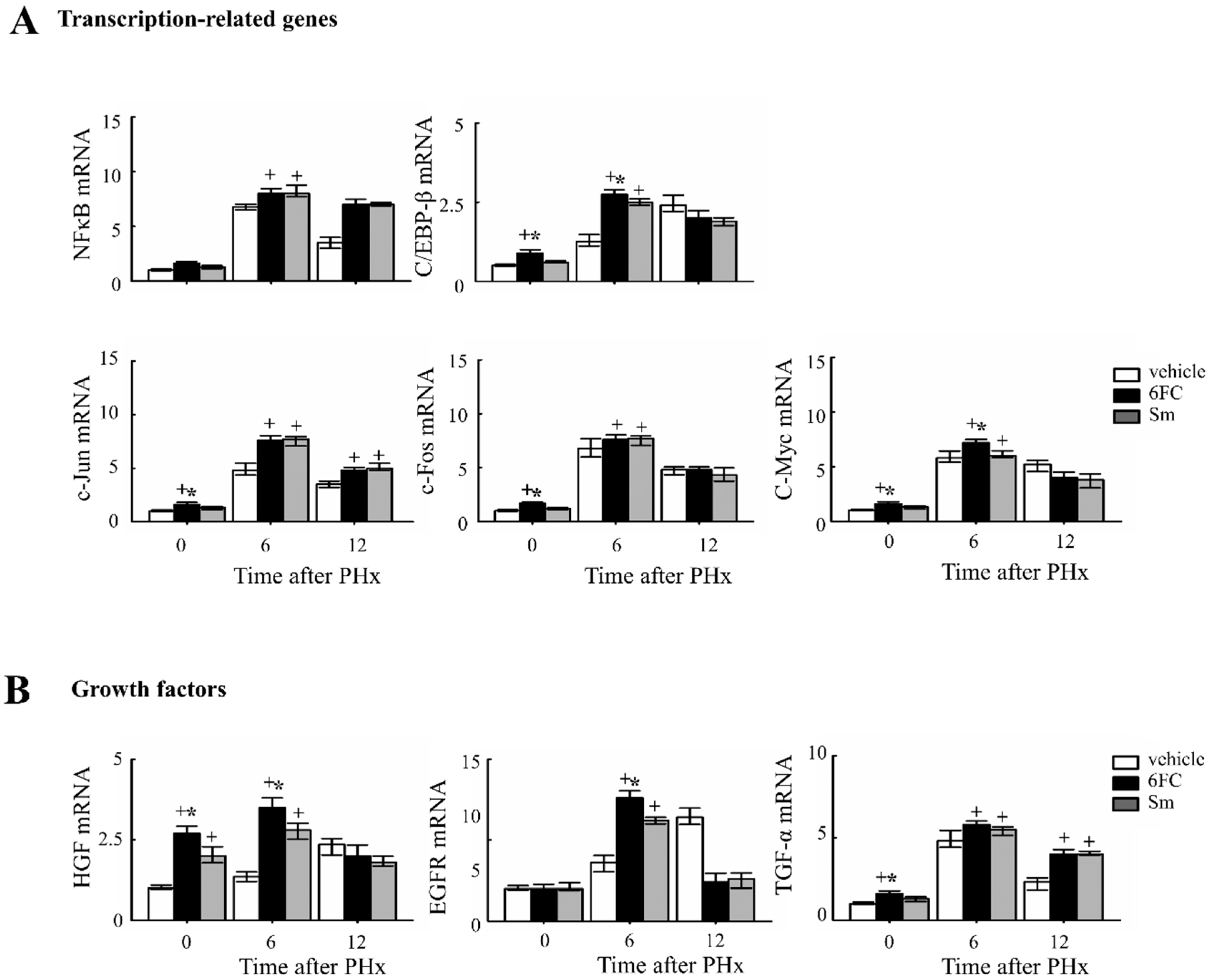 Antioxidants 14 01210 g005
