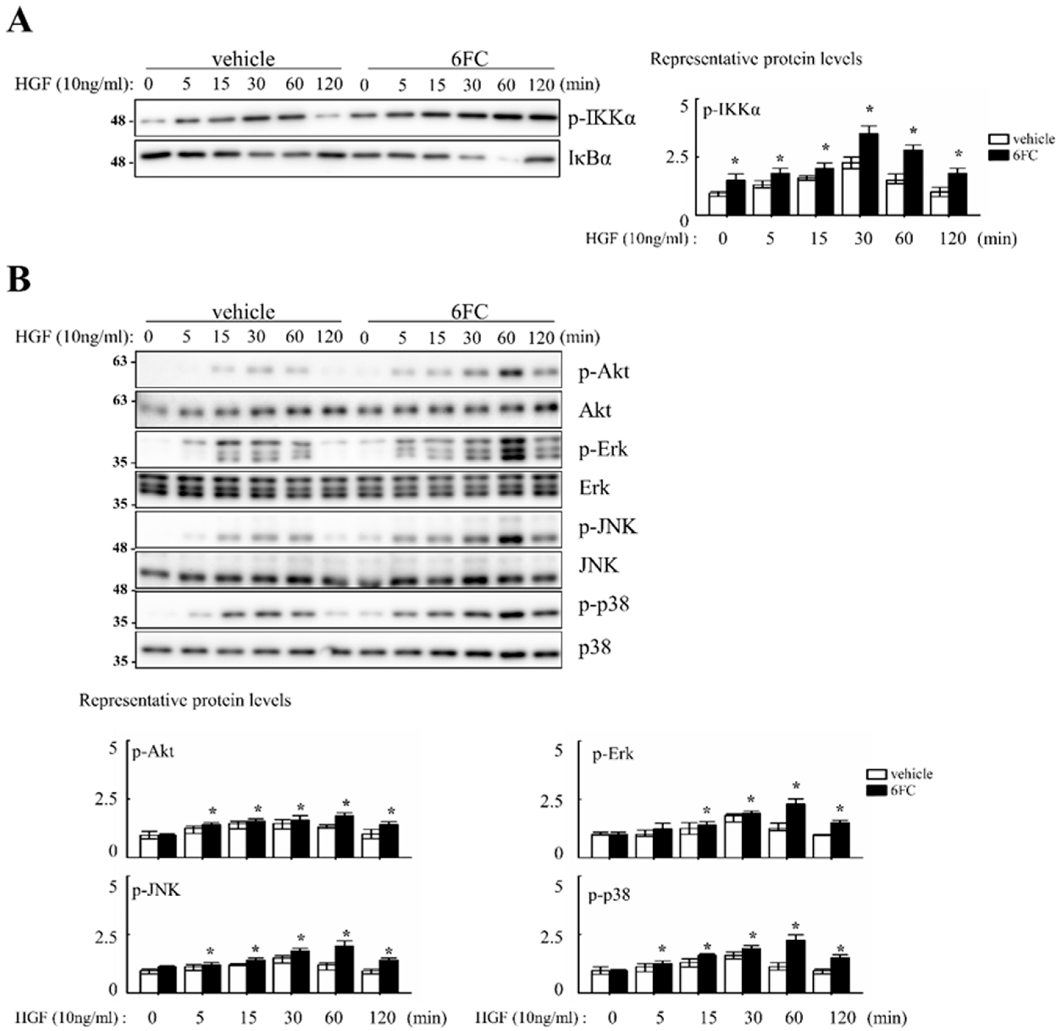 Antioxidants 14 01210 g007