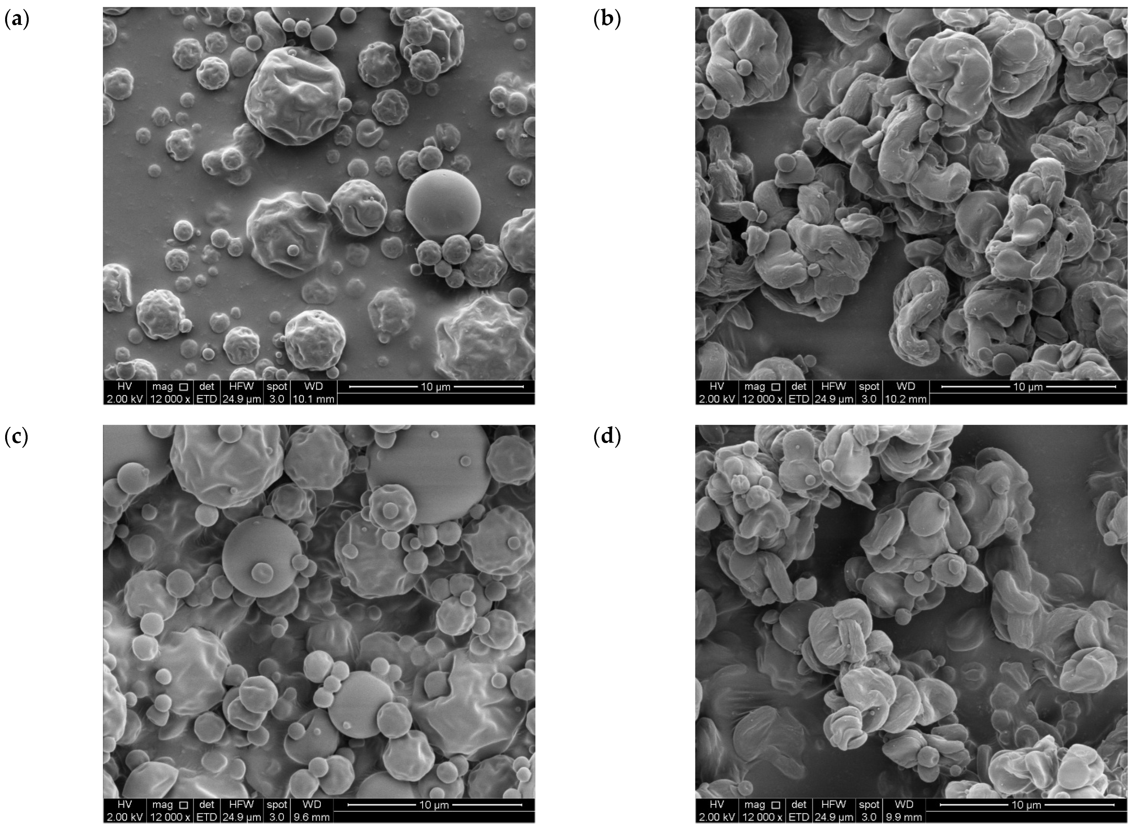 Antioxidants 14 01211 g003