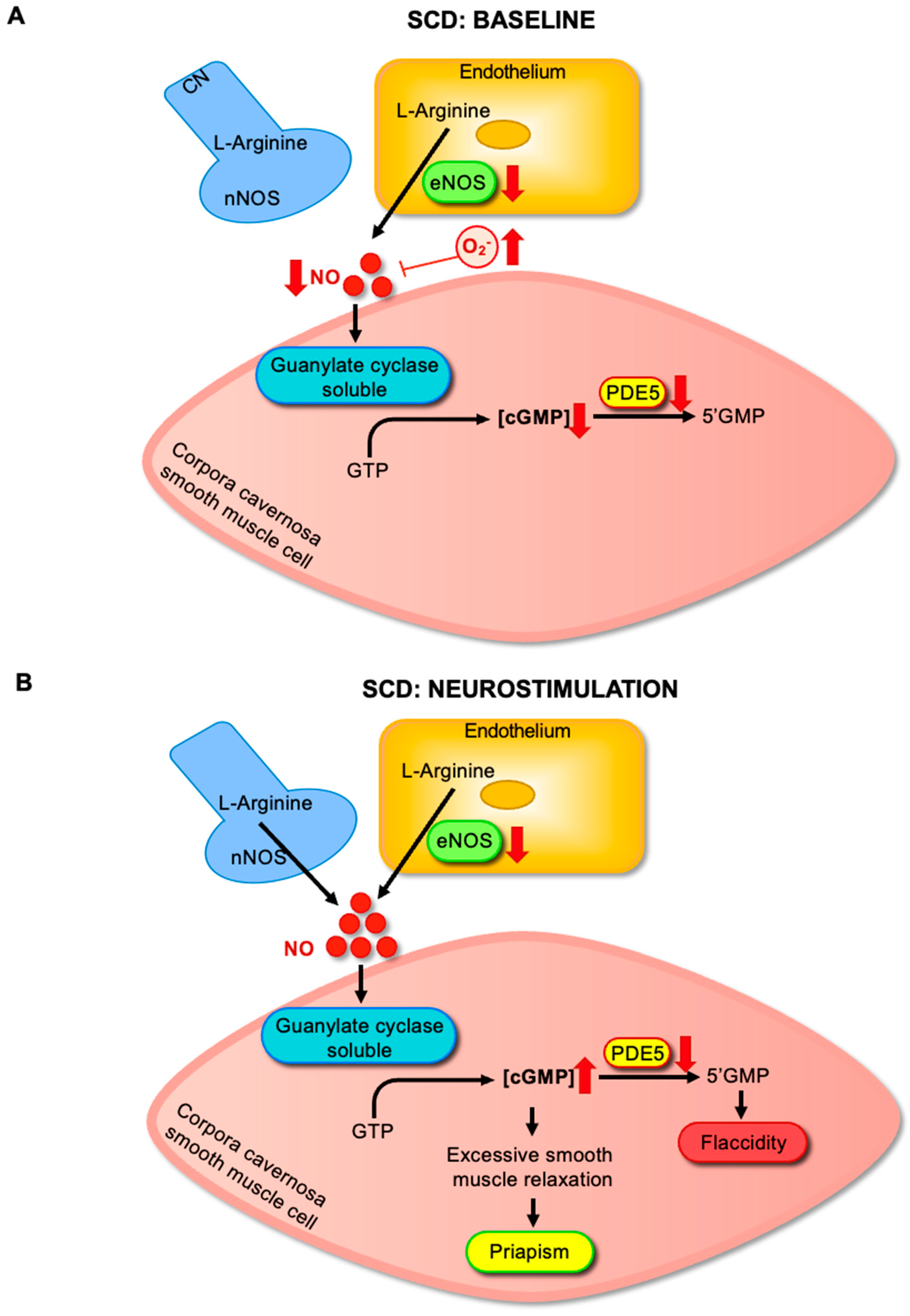 Antioxidants 14 01213 g002