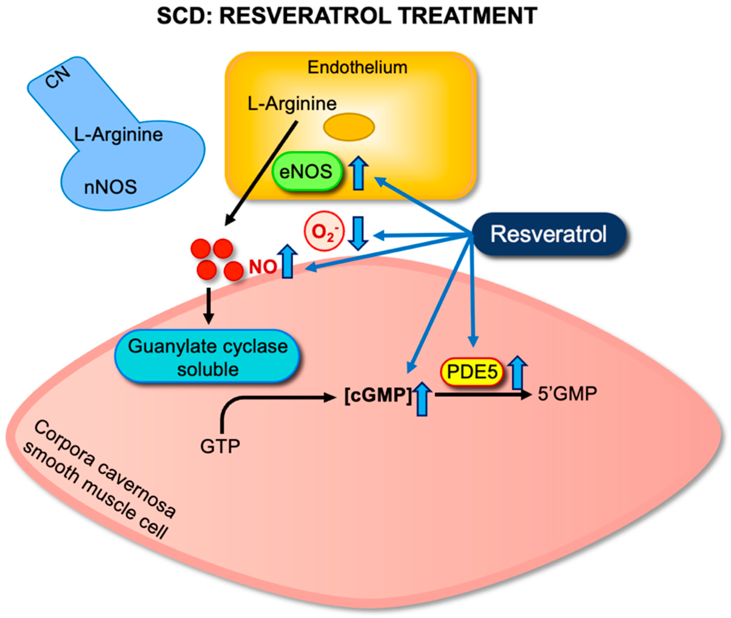 Antioxidants 14 01213 g003