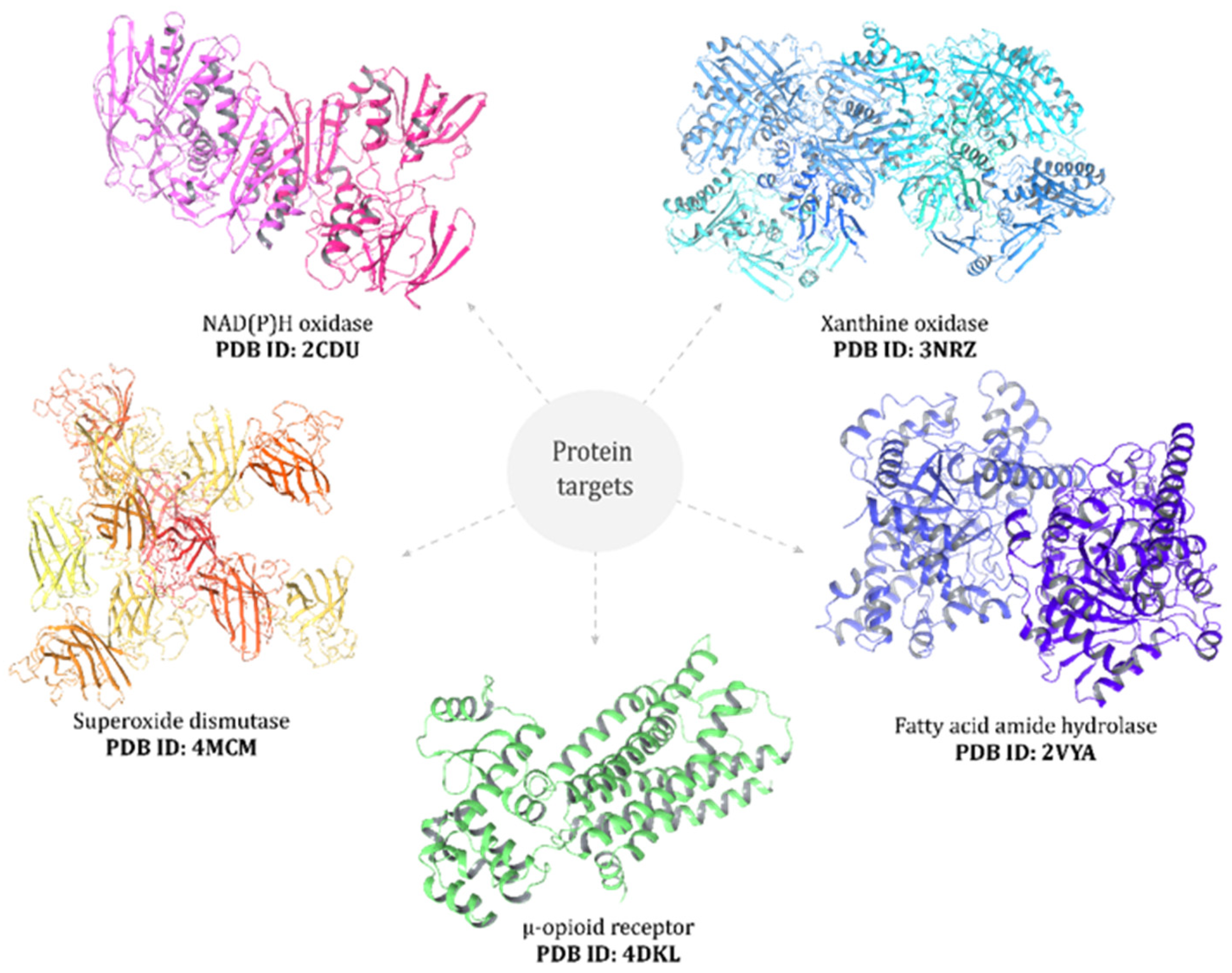 Antioxidants 14 01214 g001