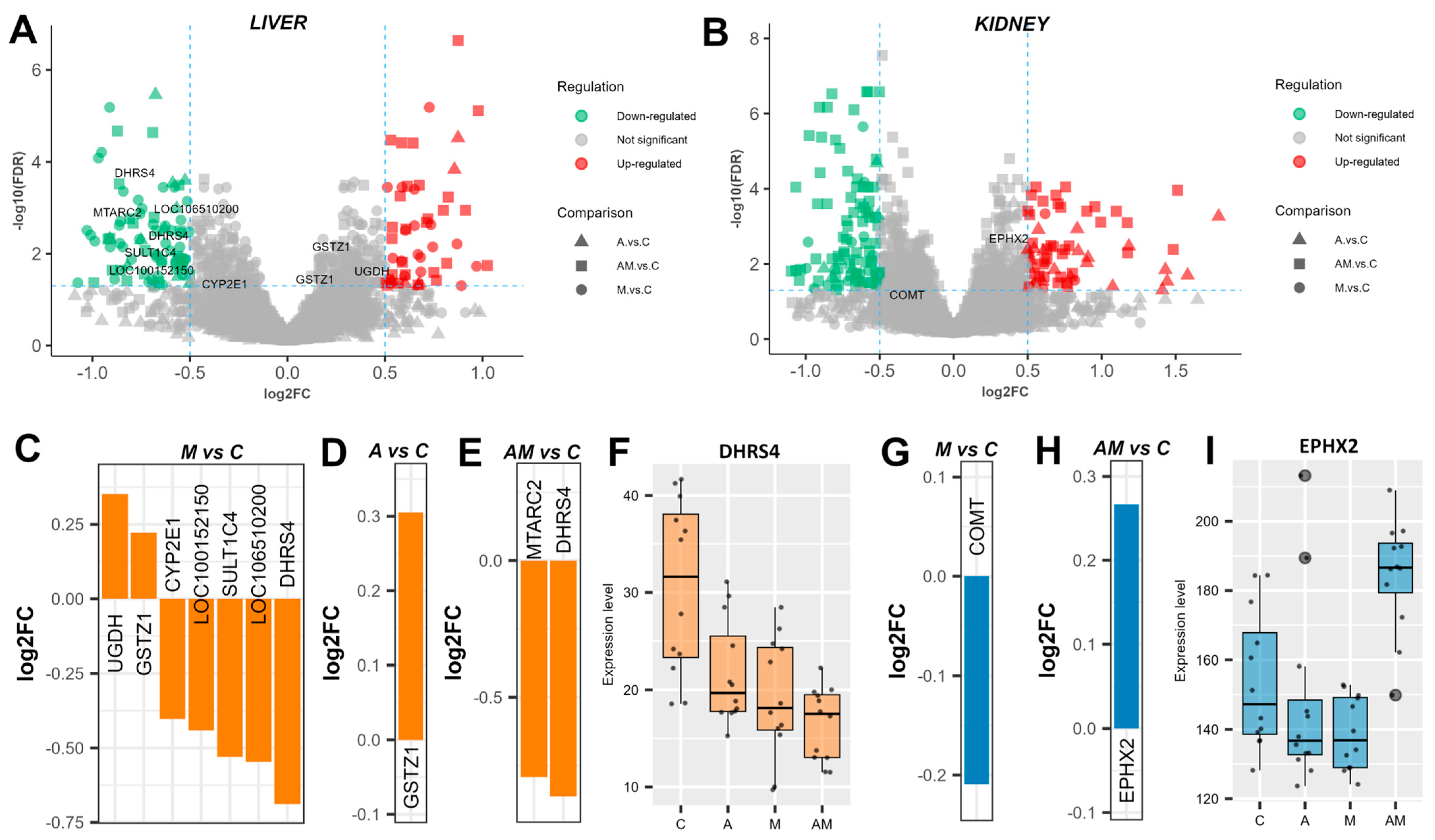 Antioxidants 14 01216 g001