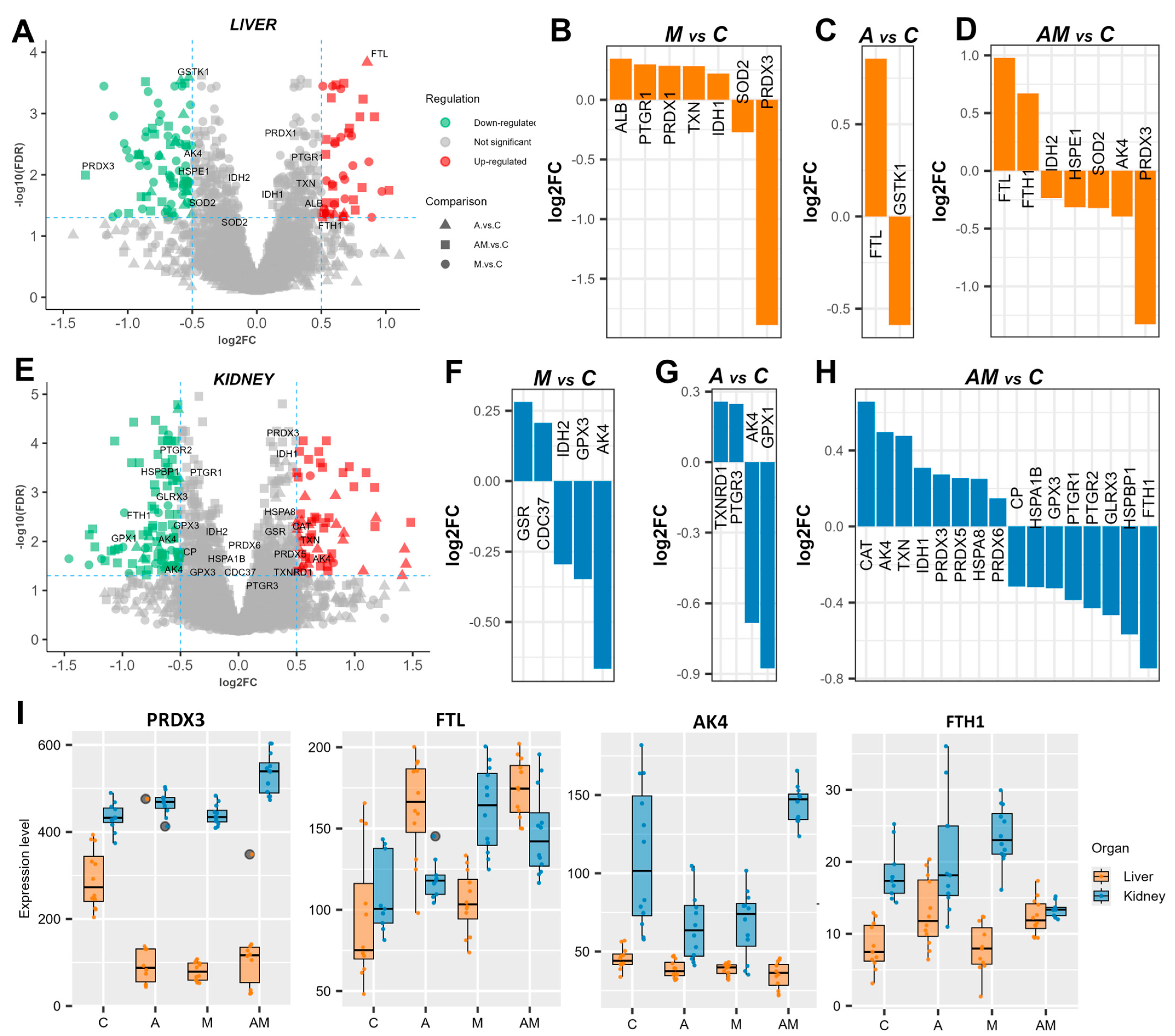 Antioxidants 14 01216 g002