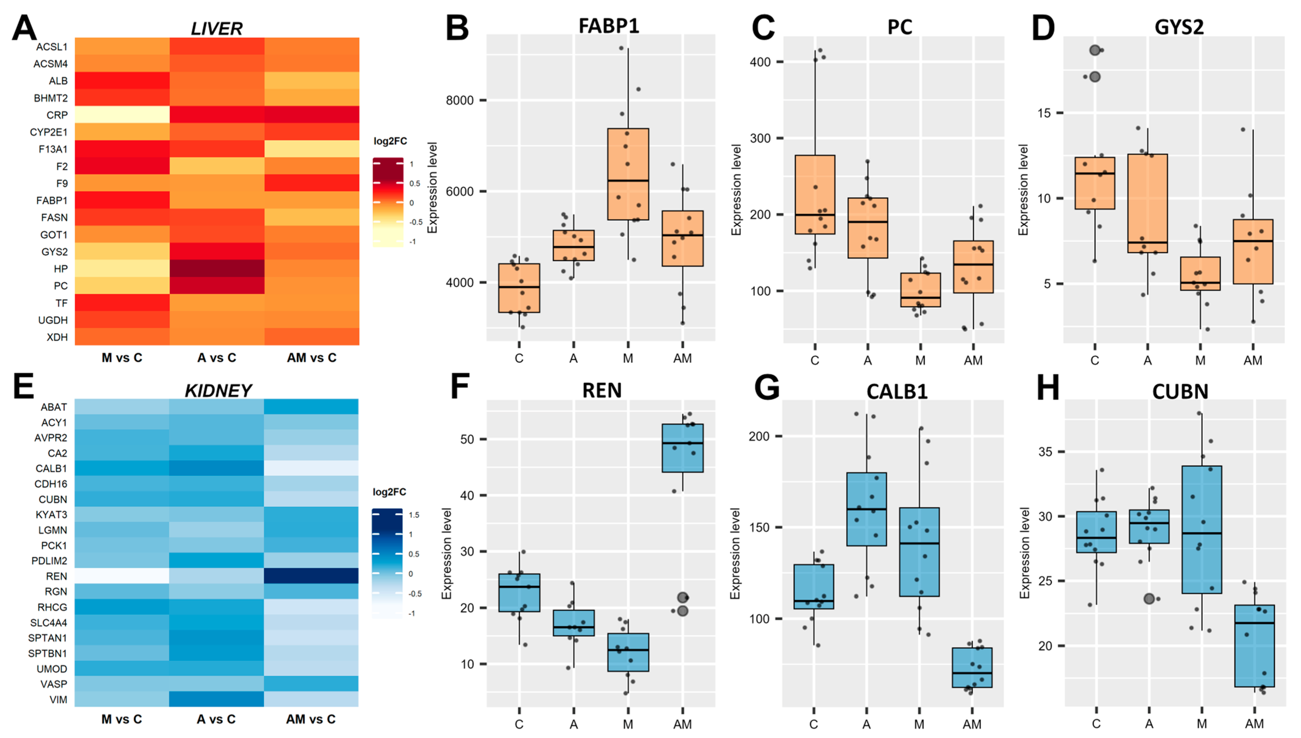 Antioxidants 14 01216 g003
