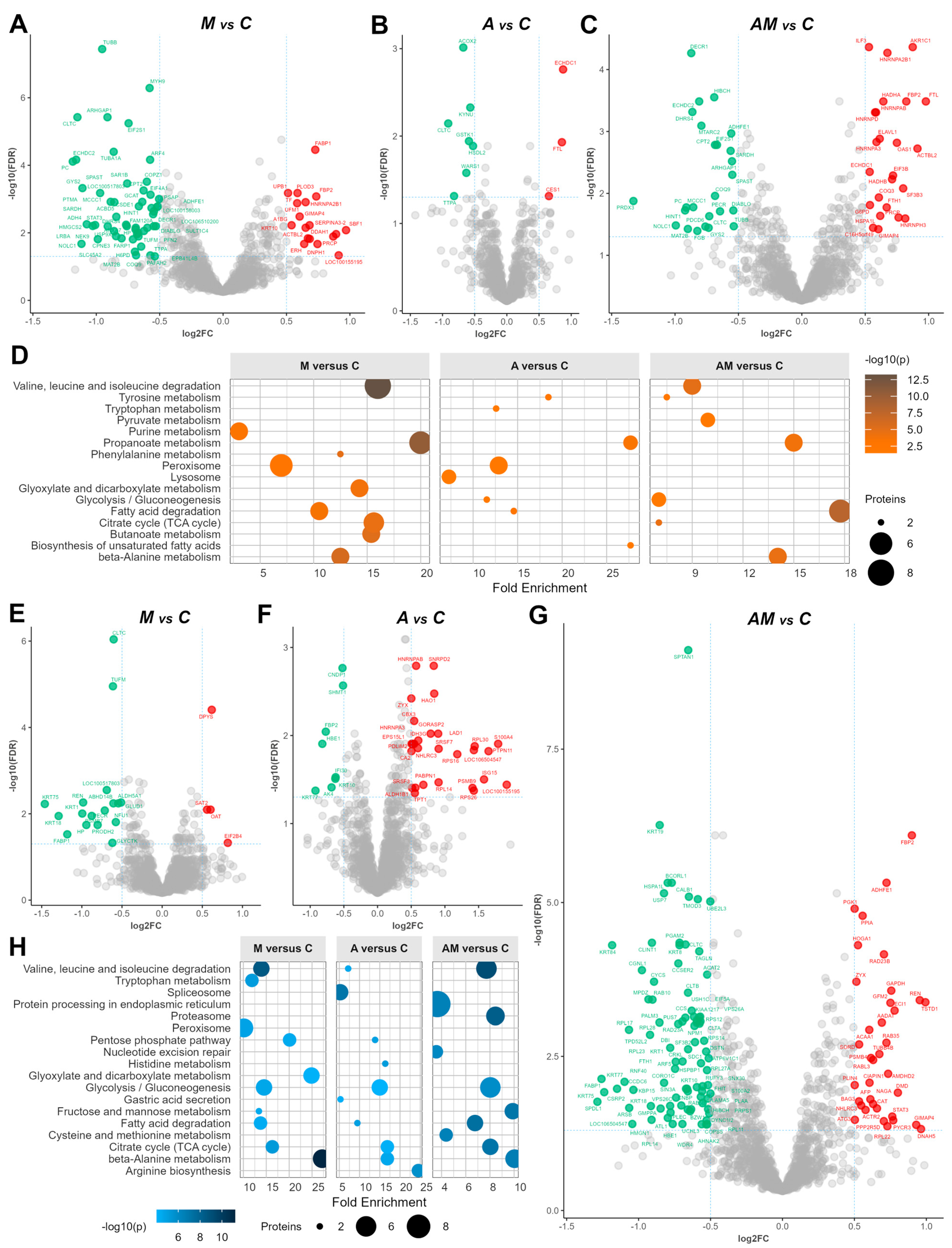 Antioxidants 14 01216 g004