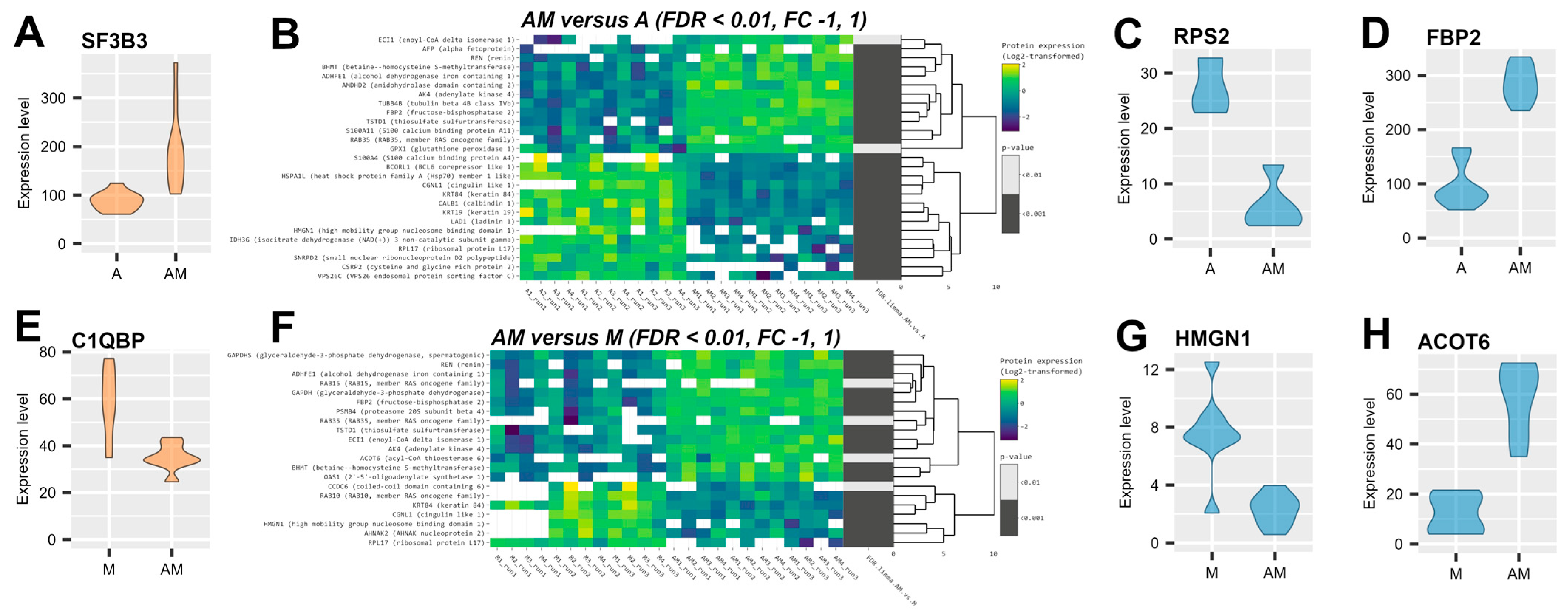 Antioxidants 14 01216 g005
