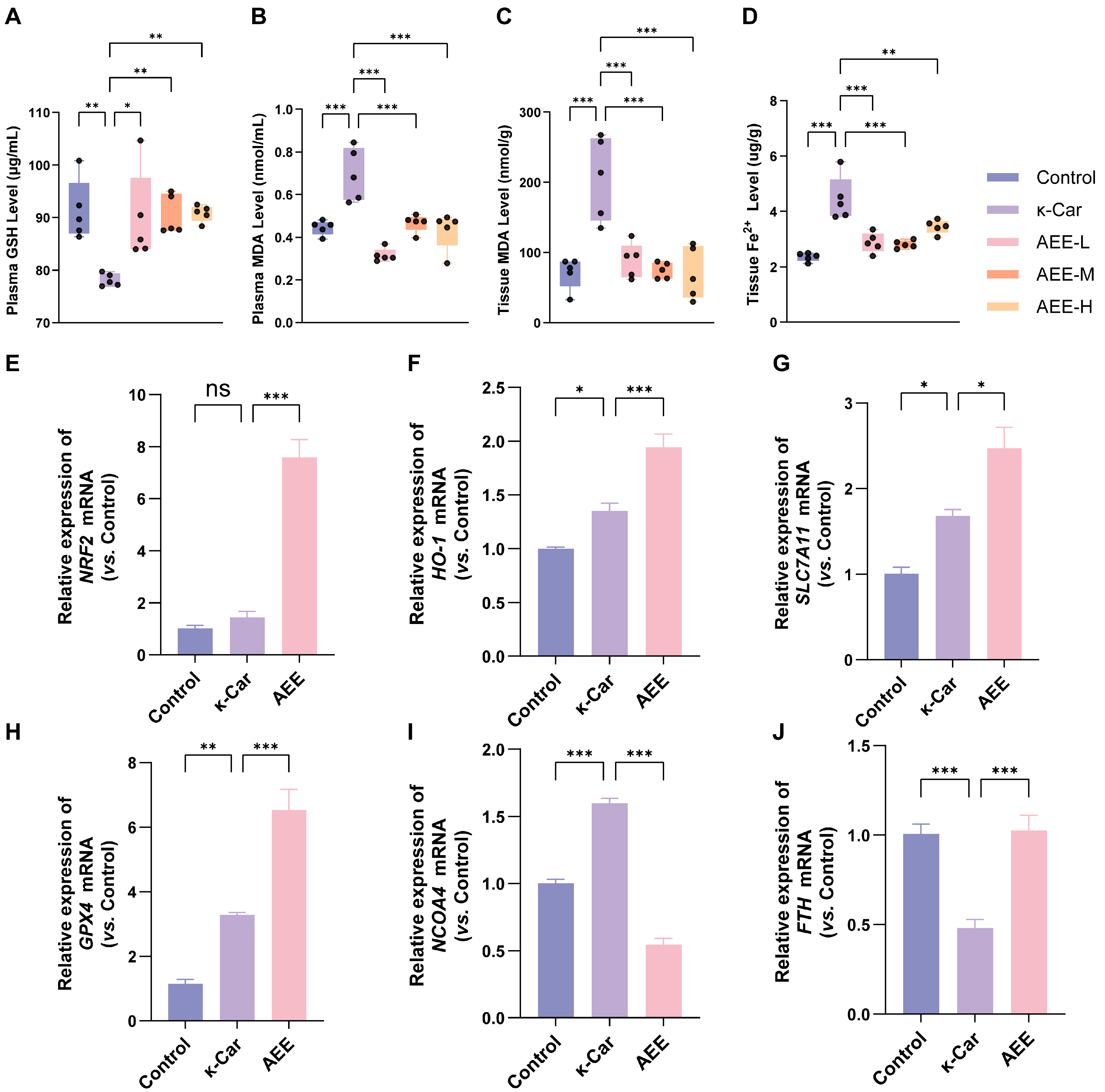 Antioxidants 14 01220 g009