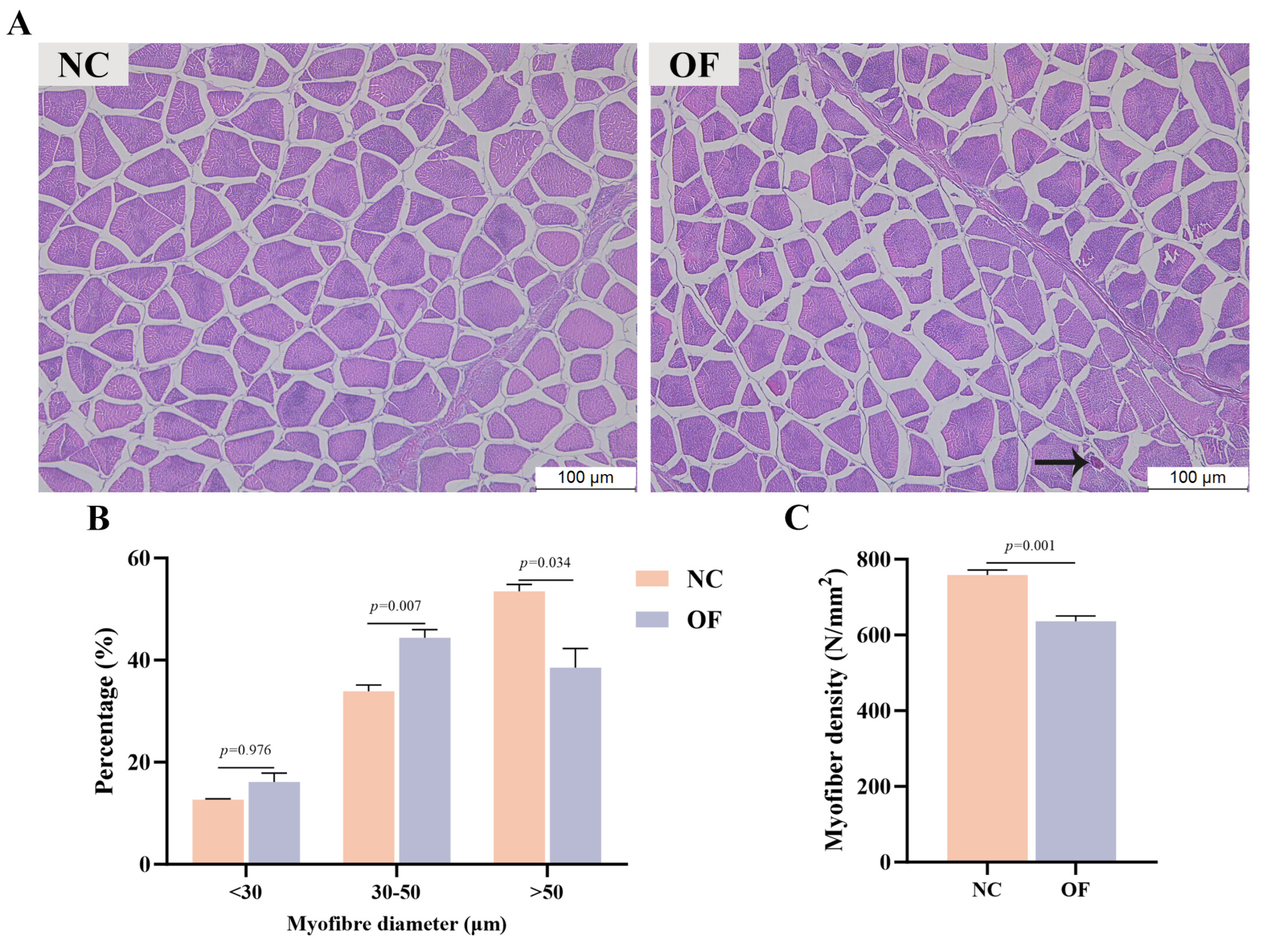 Antioxidants 14 01223 g003