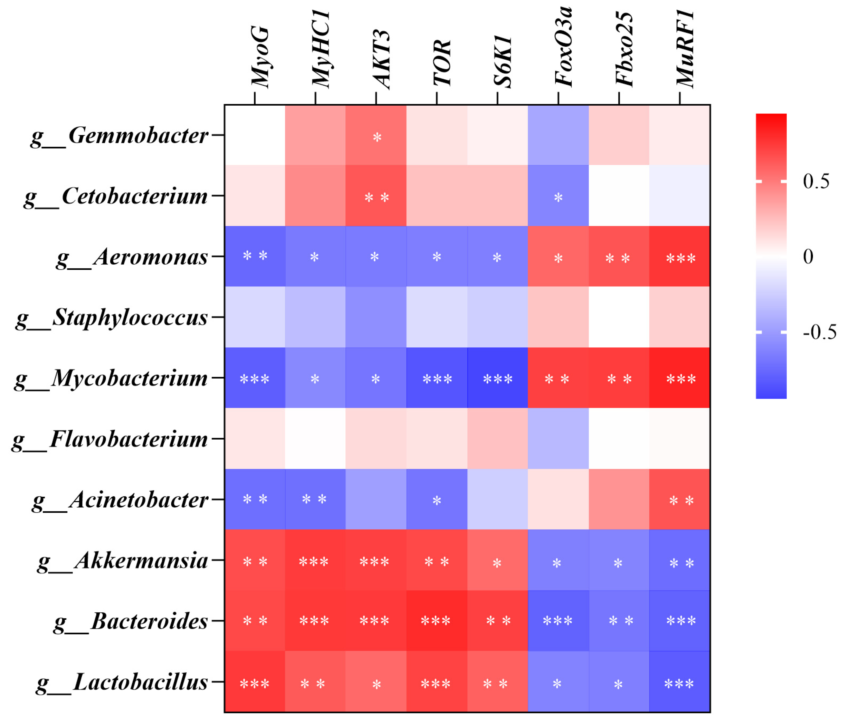 Antioxidants 14 01223 g008