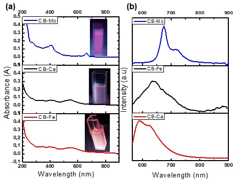 Antioxidants 14 01227 g001