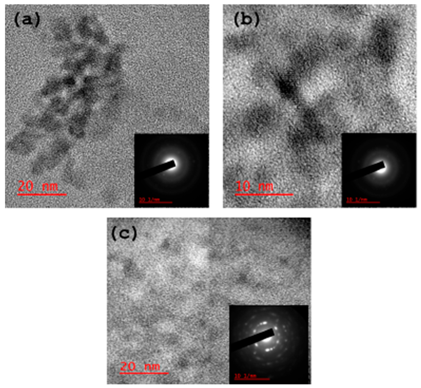Antioxidants 14 01227 g003