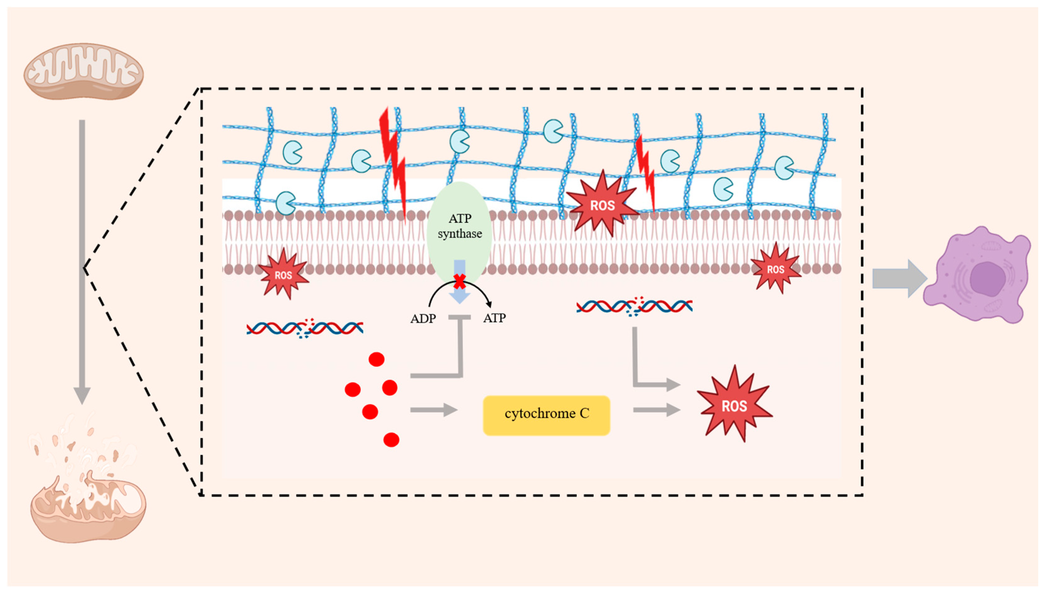 Antioxidants 14 01228 g001