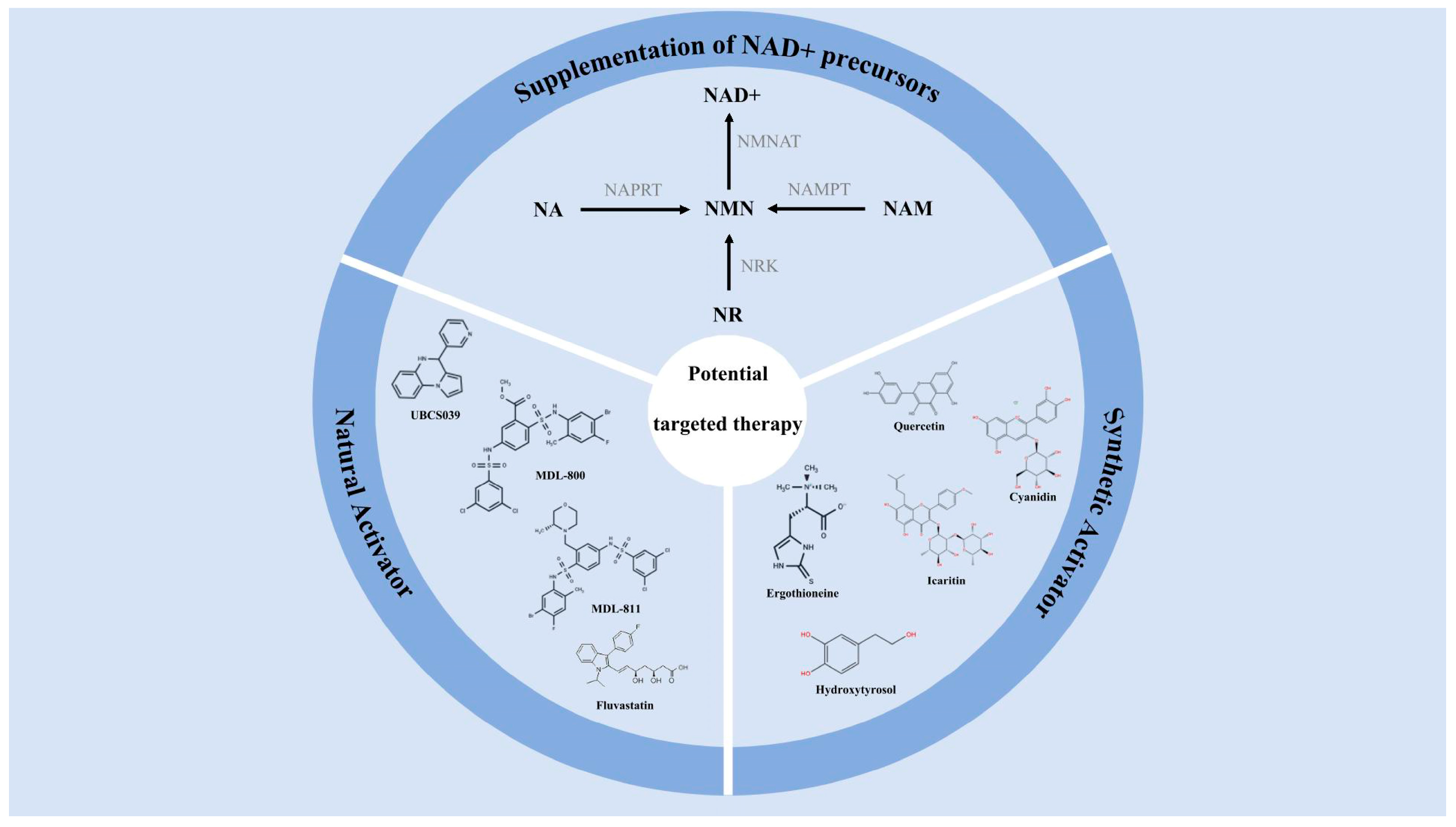 Antioxidants 14 01228 g006