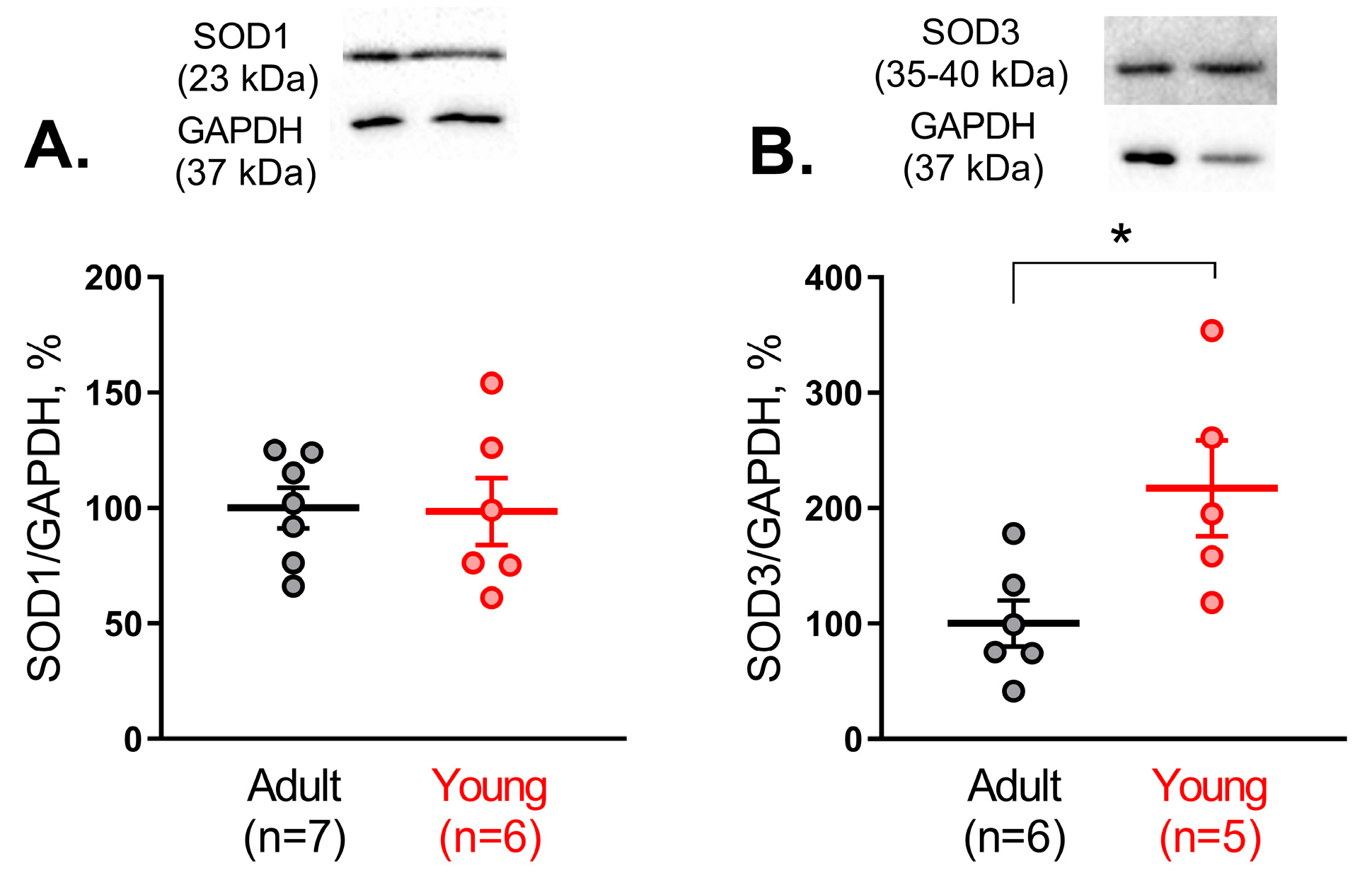 Antioxidants 14 01231 g003