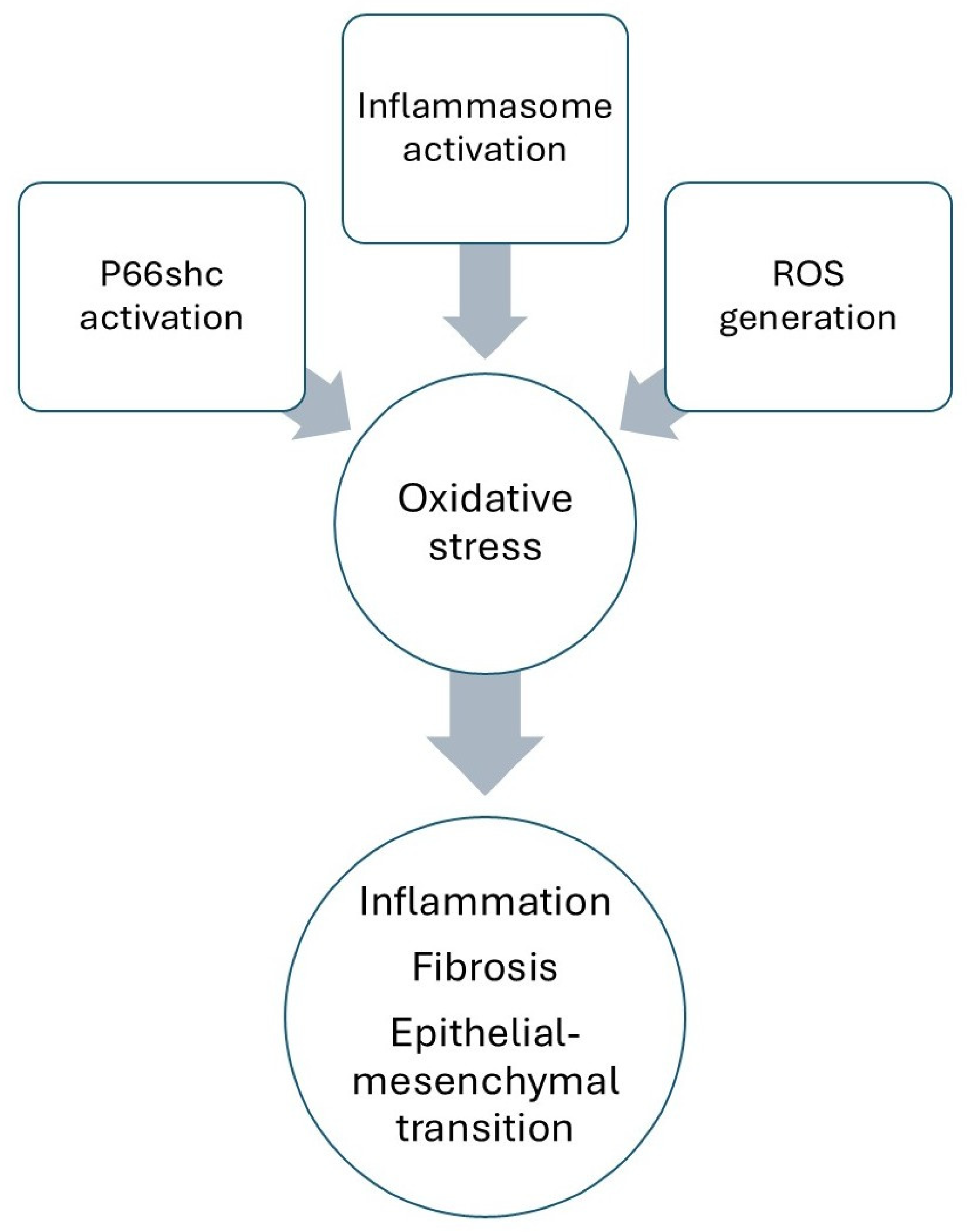 Antioxidants 14 01233 g002